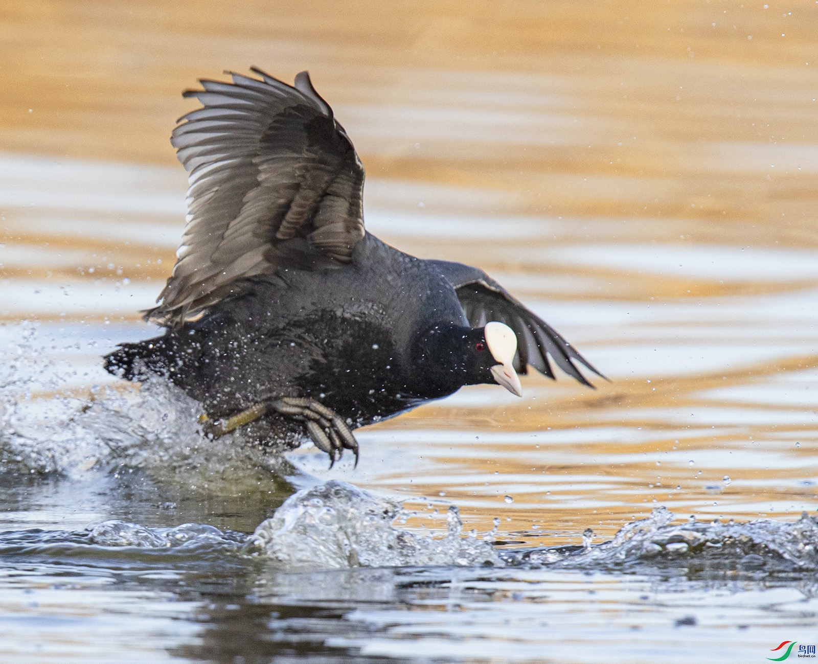 _90I0585 ����.jpg