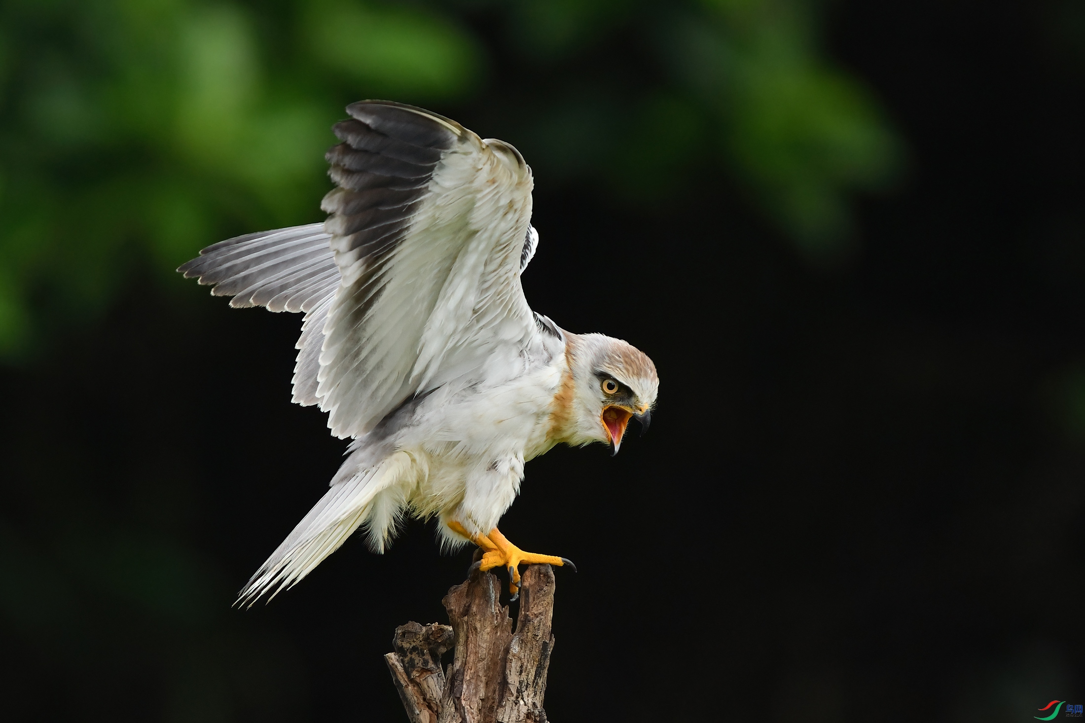 DSC_5081x.jpg