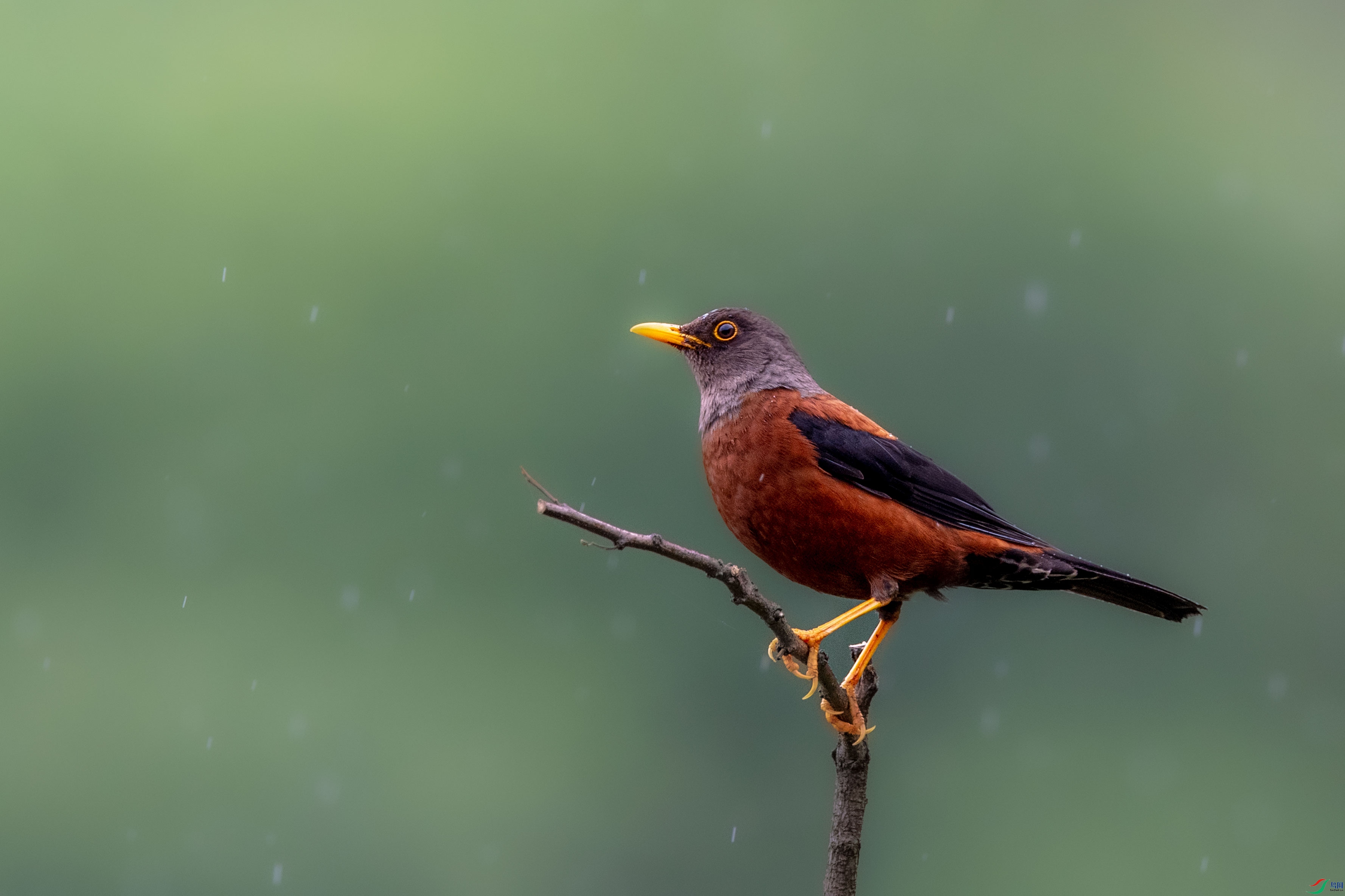 AAE_0611.jpg
