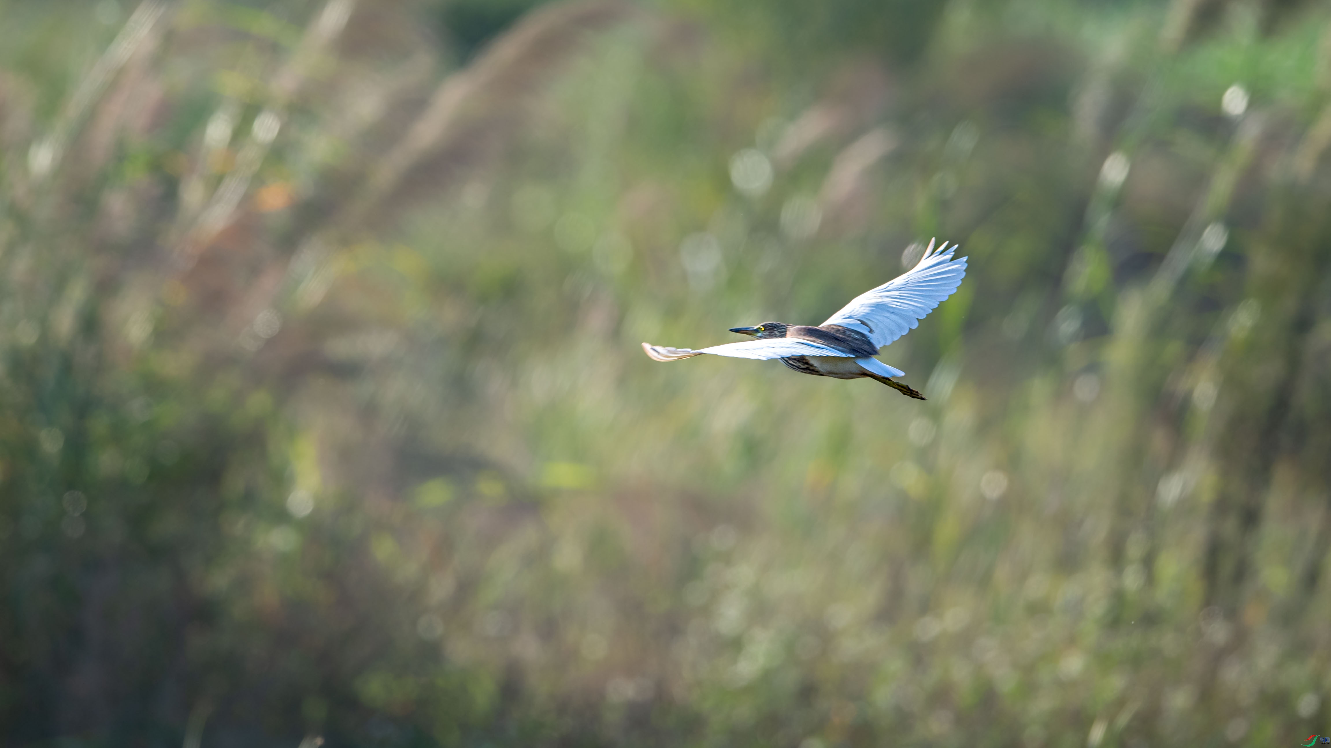 DSC_1151.jpg