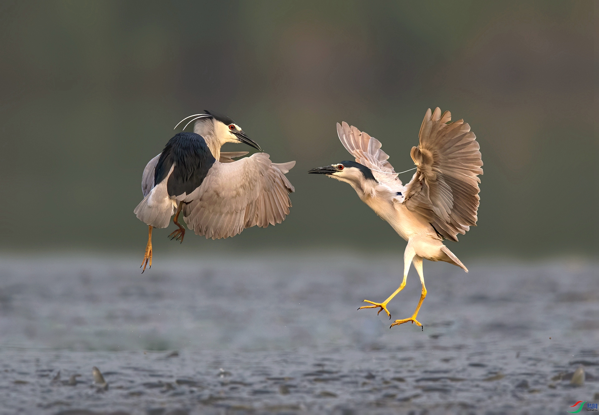 DSC_1016 ����_���� ����_����_����.jpg