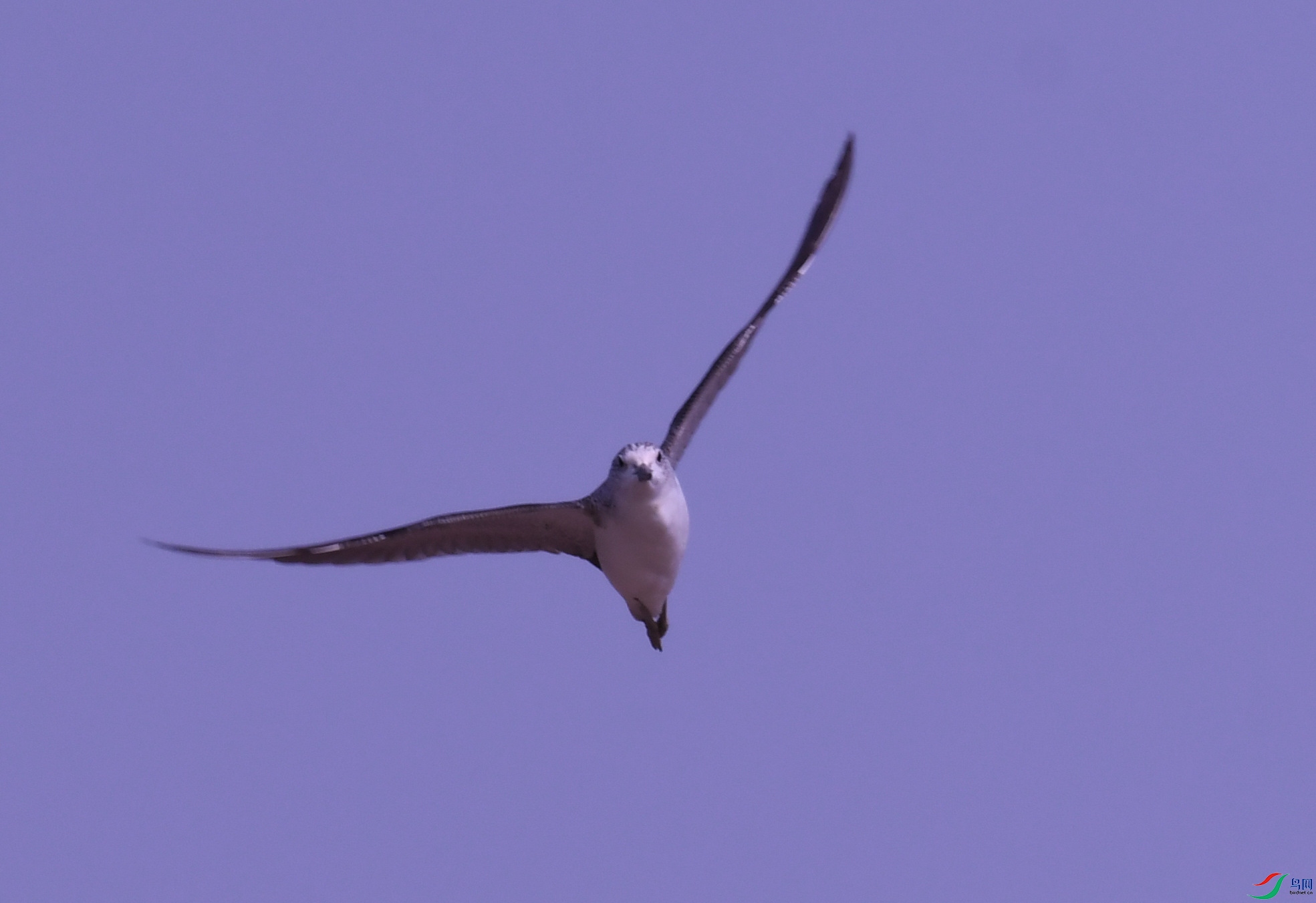 �ֳ���Ÿ ������ (1).JPG