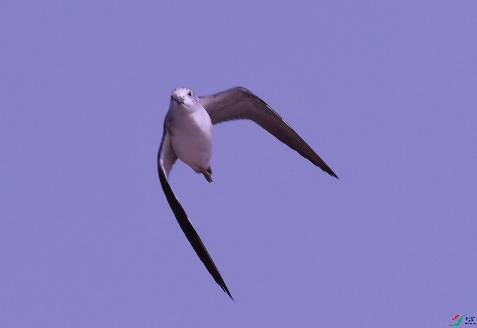 �ֳ���Ÿ ������ (2).JPG