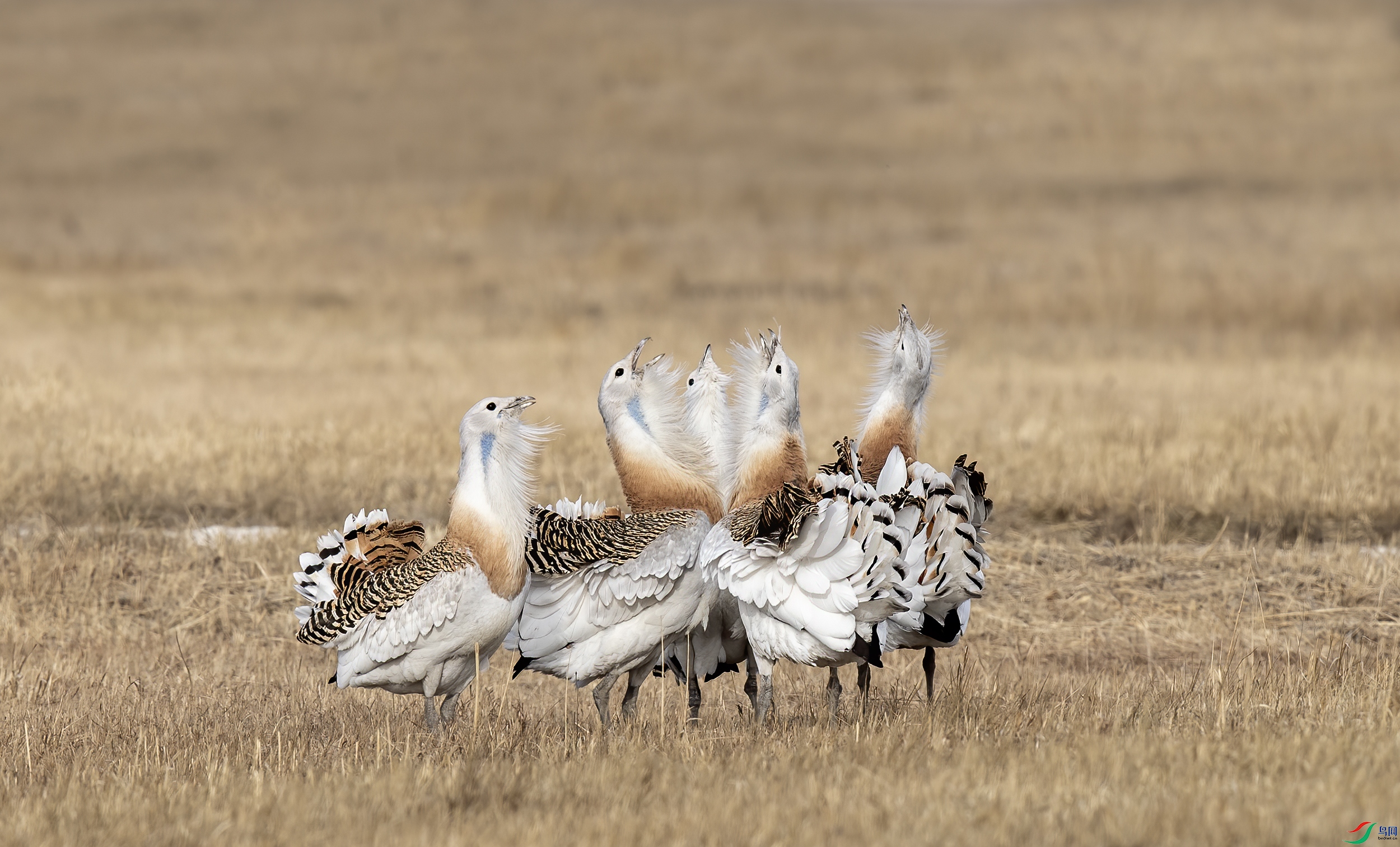 AC3I6912 ����.jpg