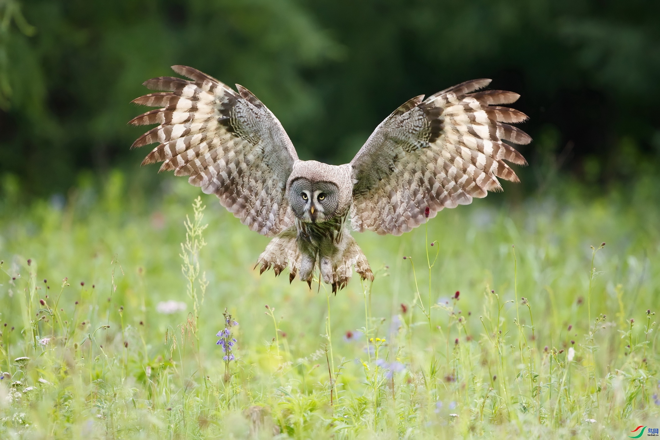 �����^  ���� ��ʯ ��һ.jpg