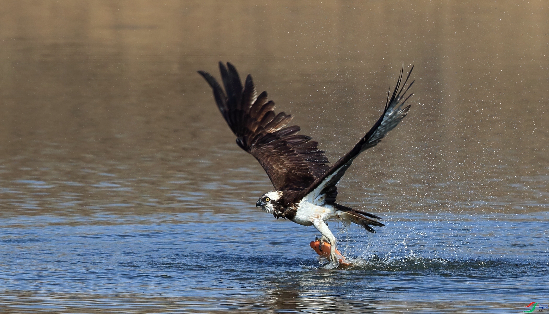 ���� ���� ��ǲ ��һ.jpg