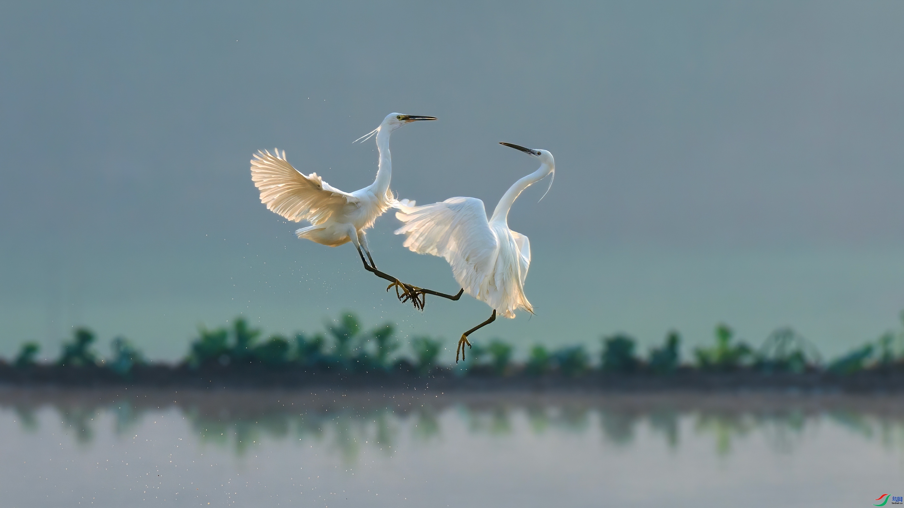 ǣ��  ���� ��־����  �ܶ�.jpg