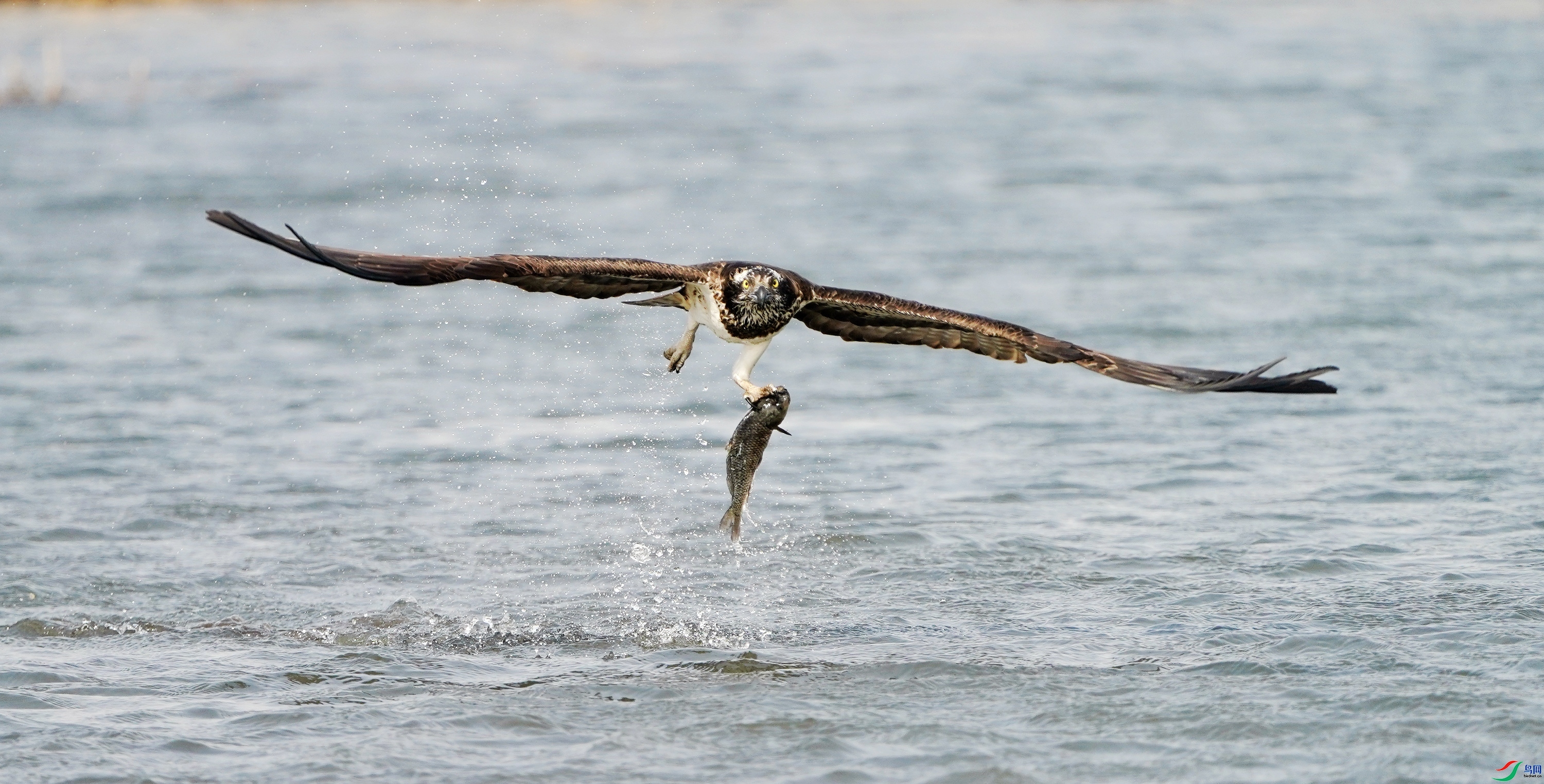 �����ˮ ���� ����  �ܶ�.jpg