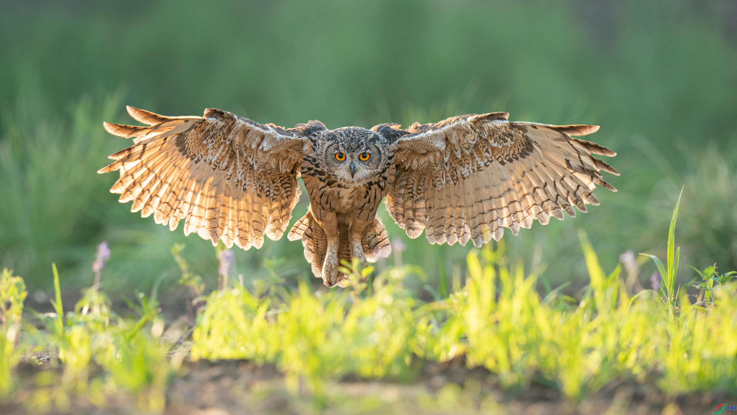 ���^ ���� ���� �ܶ�.jpg