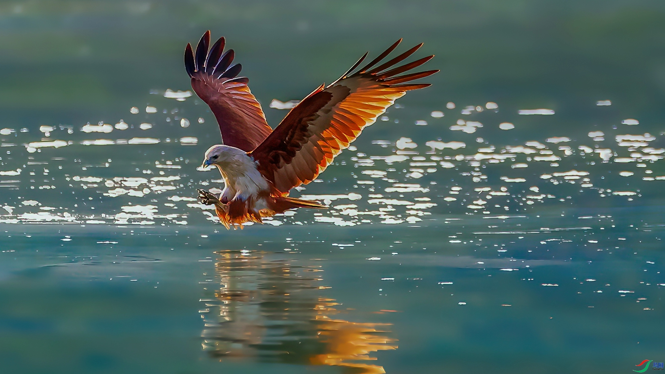 ���--���� ���� СС�ո�  ����.jpg