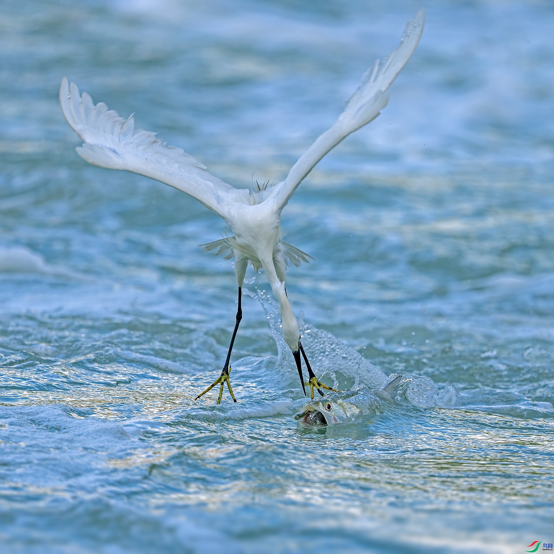 �����ʳ  ���� ���ž���  ����.jpg