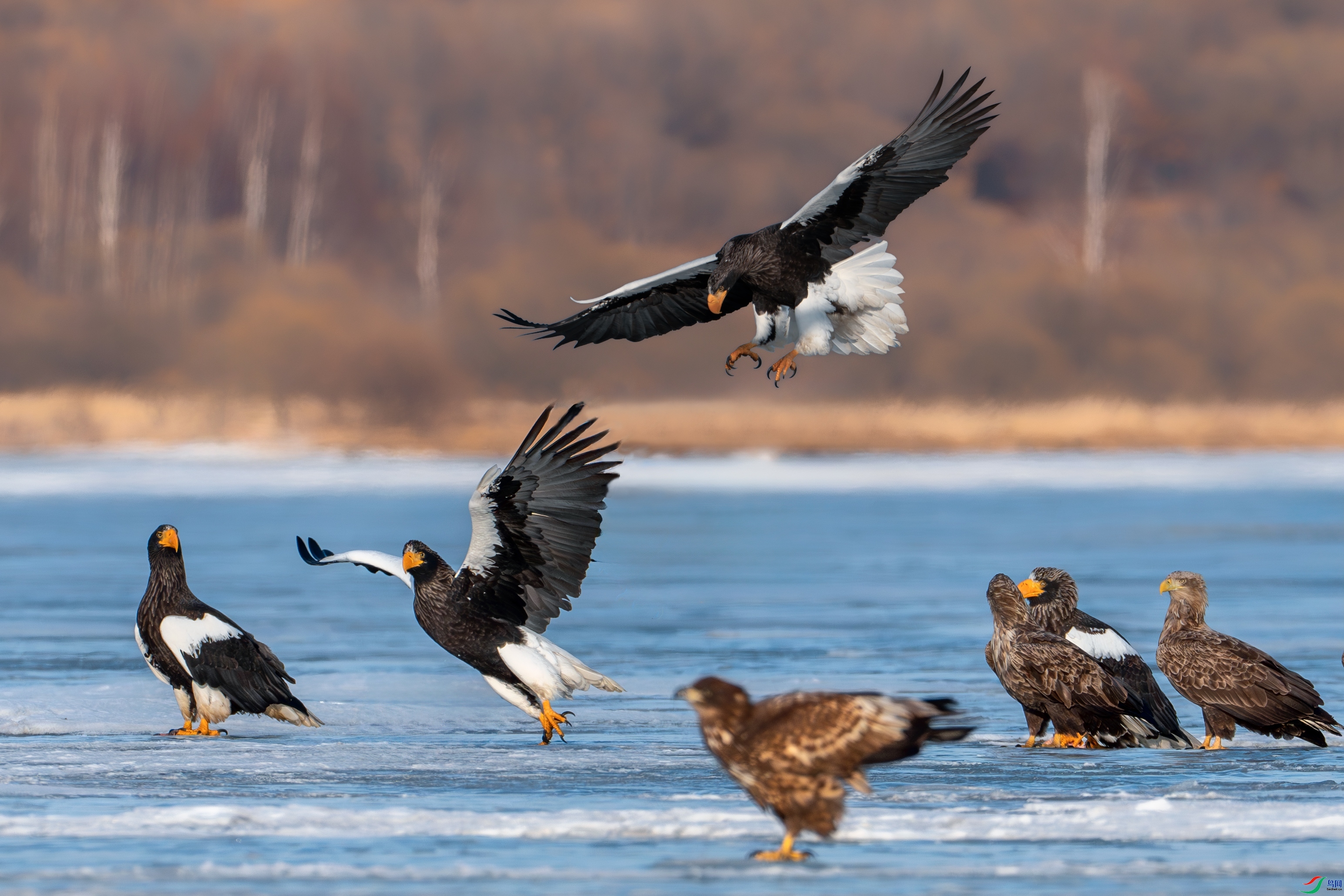 ׷ ���� ��Ϳ�ֺ�Ϳ  ����.jpg
