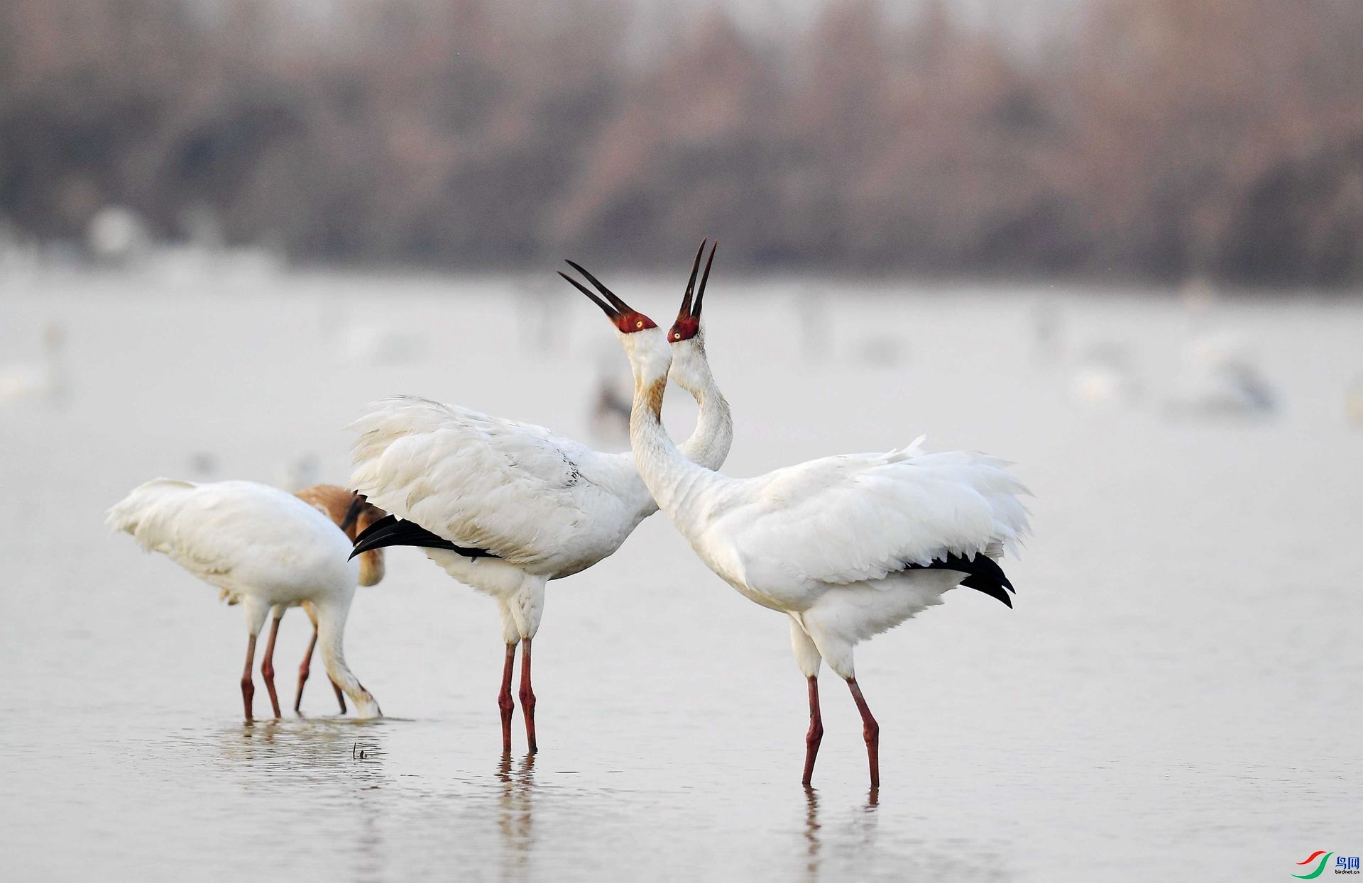 �����߳�  ���� ����뻳  ����.jpg