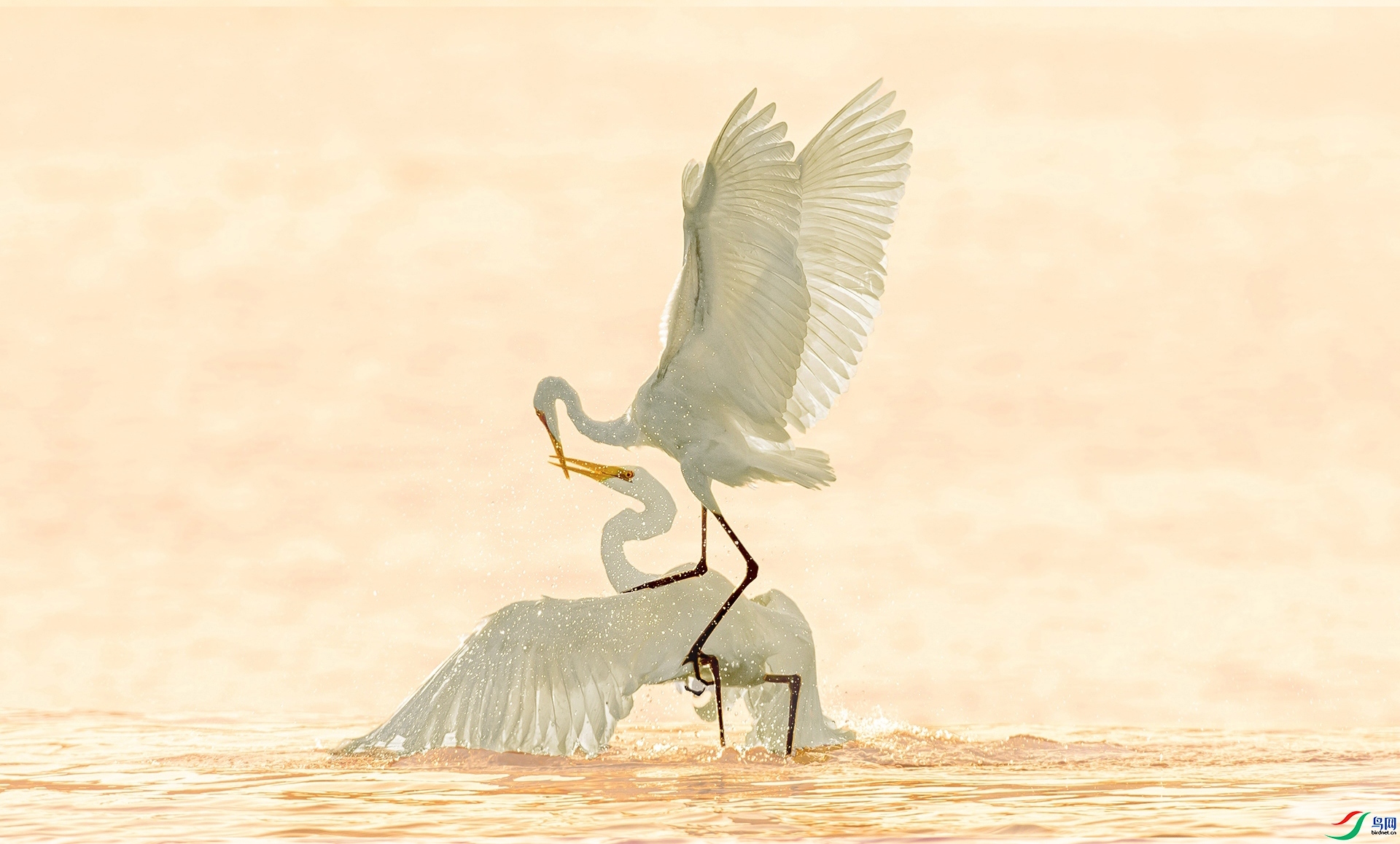 ����  ���� ����  ����.jpg