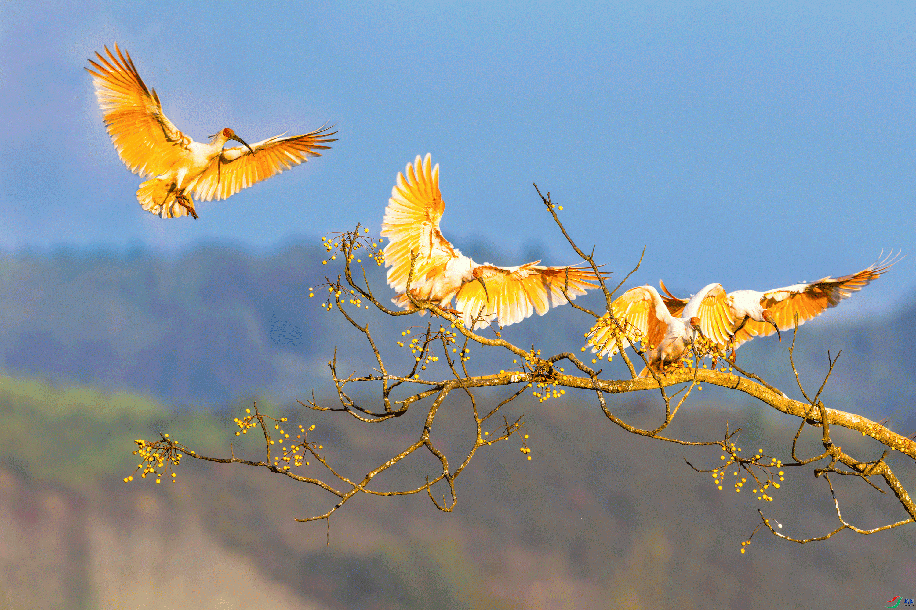 ���q����  ���� ����.gif