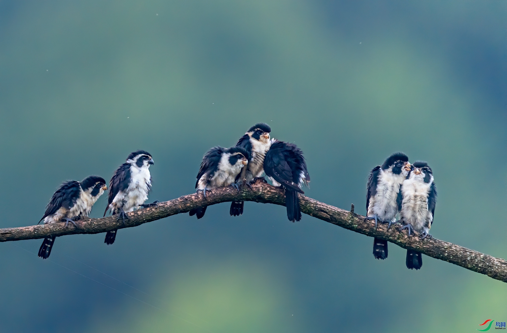 ����С�� ���� ����.jpg