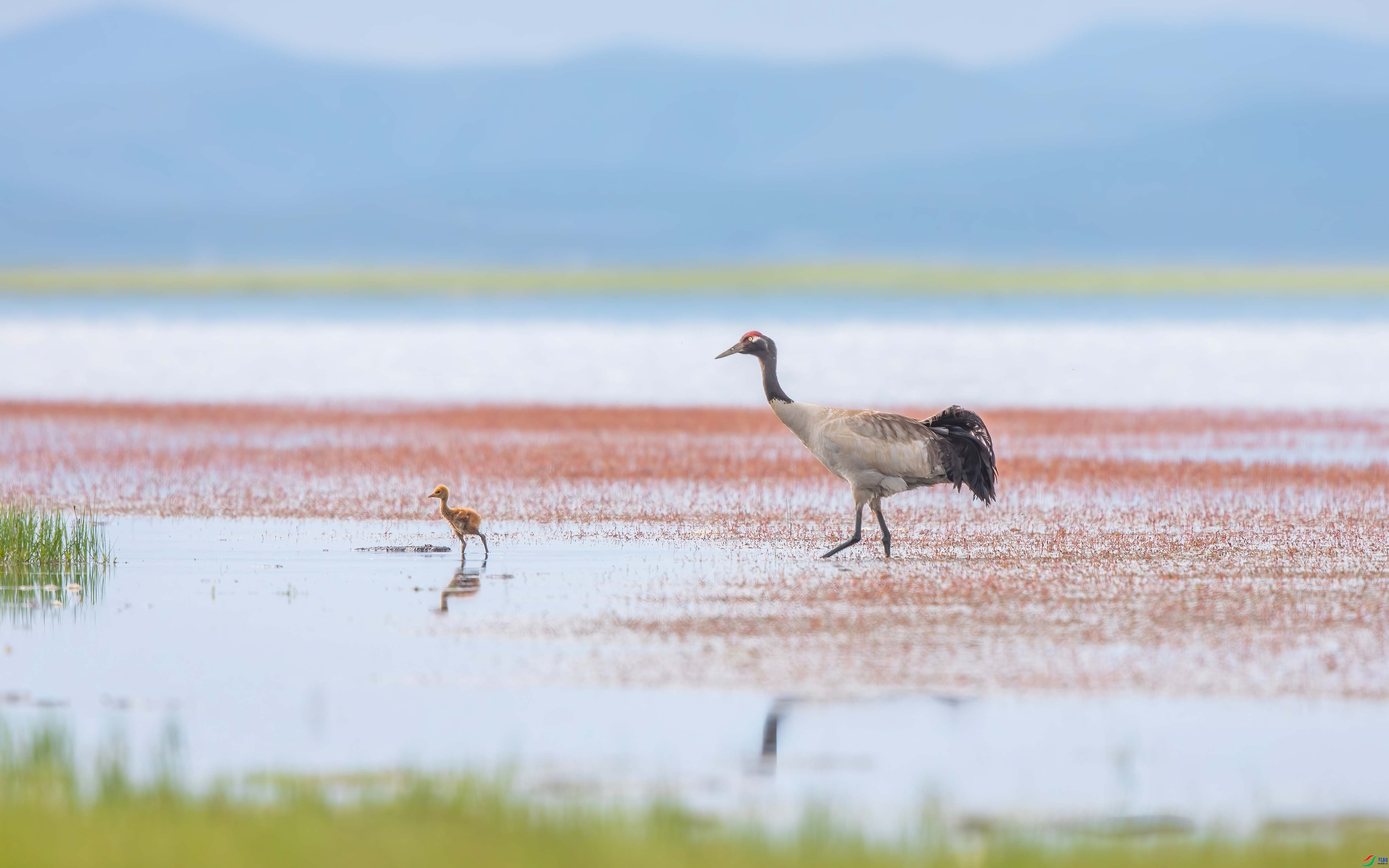 ���� ���� �ɶ��Ͻ�  ����.jpg