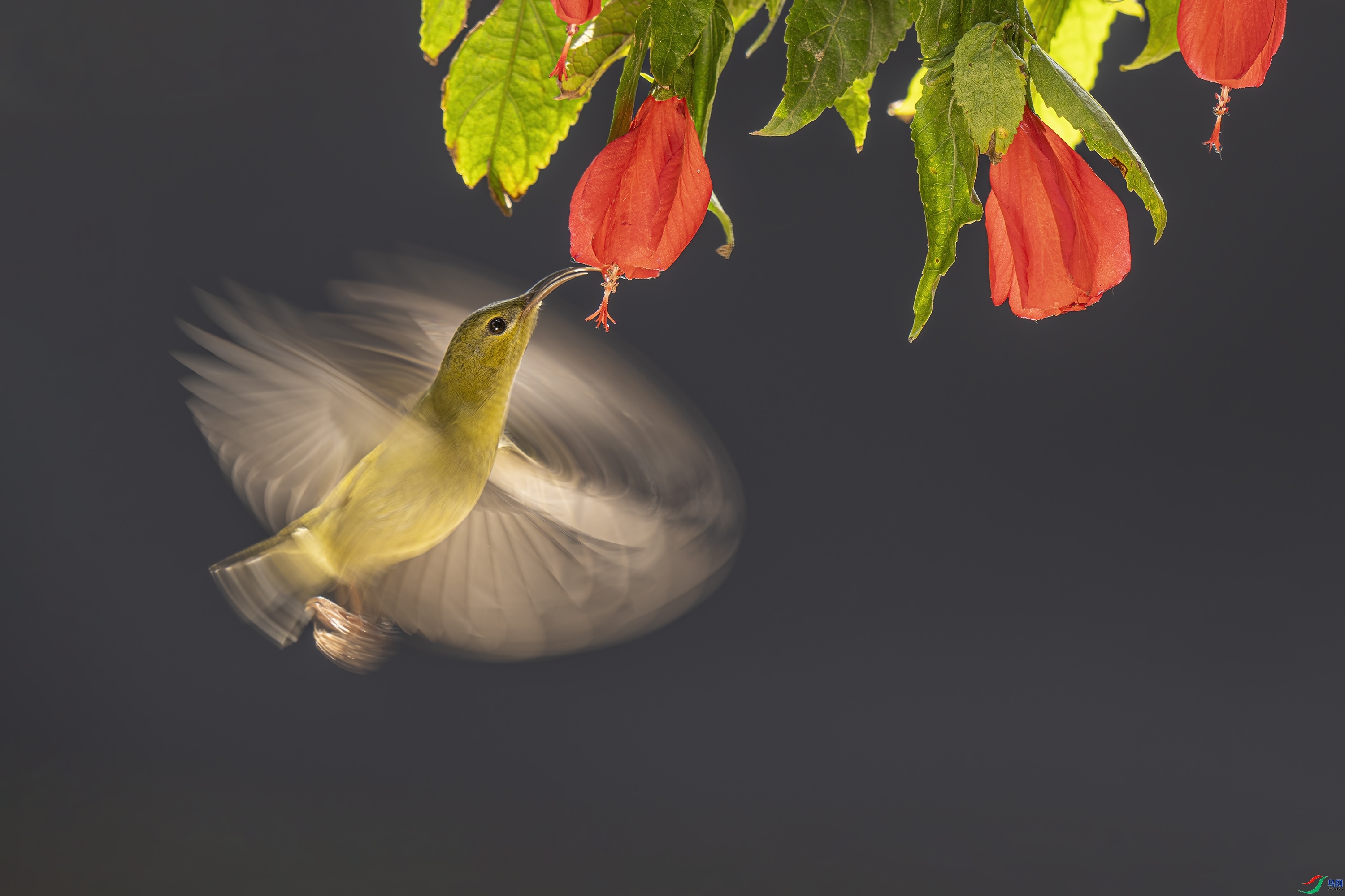 ��β̫���� ���� ���� ����.jpg