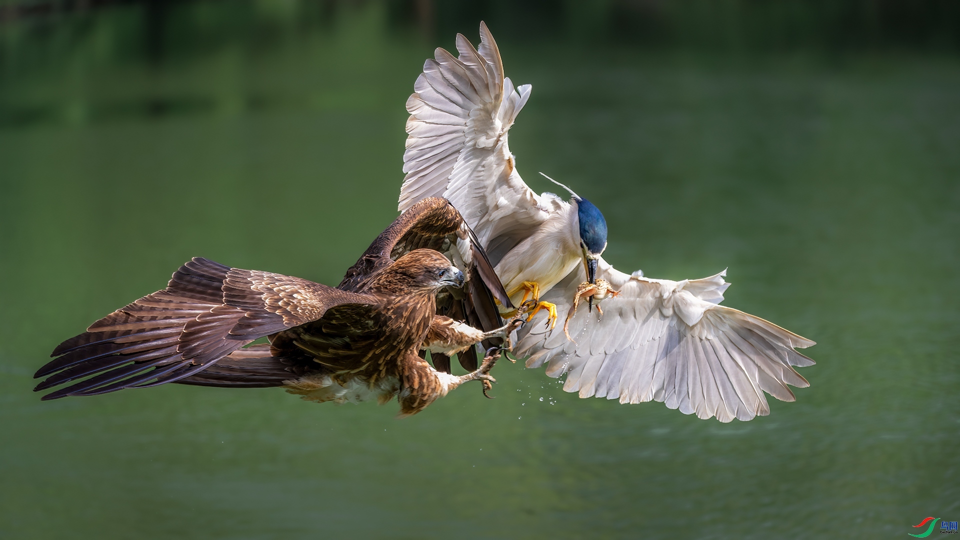 ǿȡ���� ���� ����Ӱ  ����.jpg