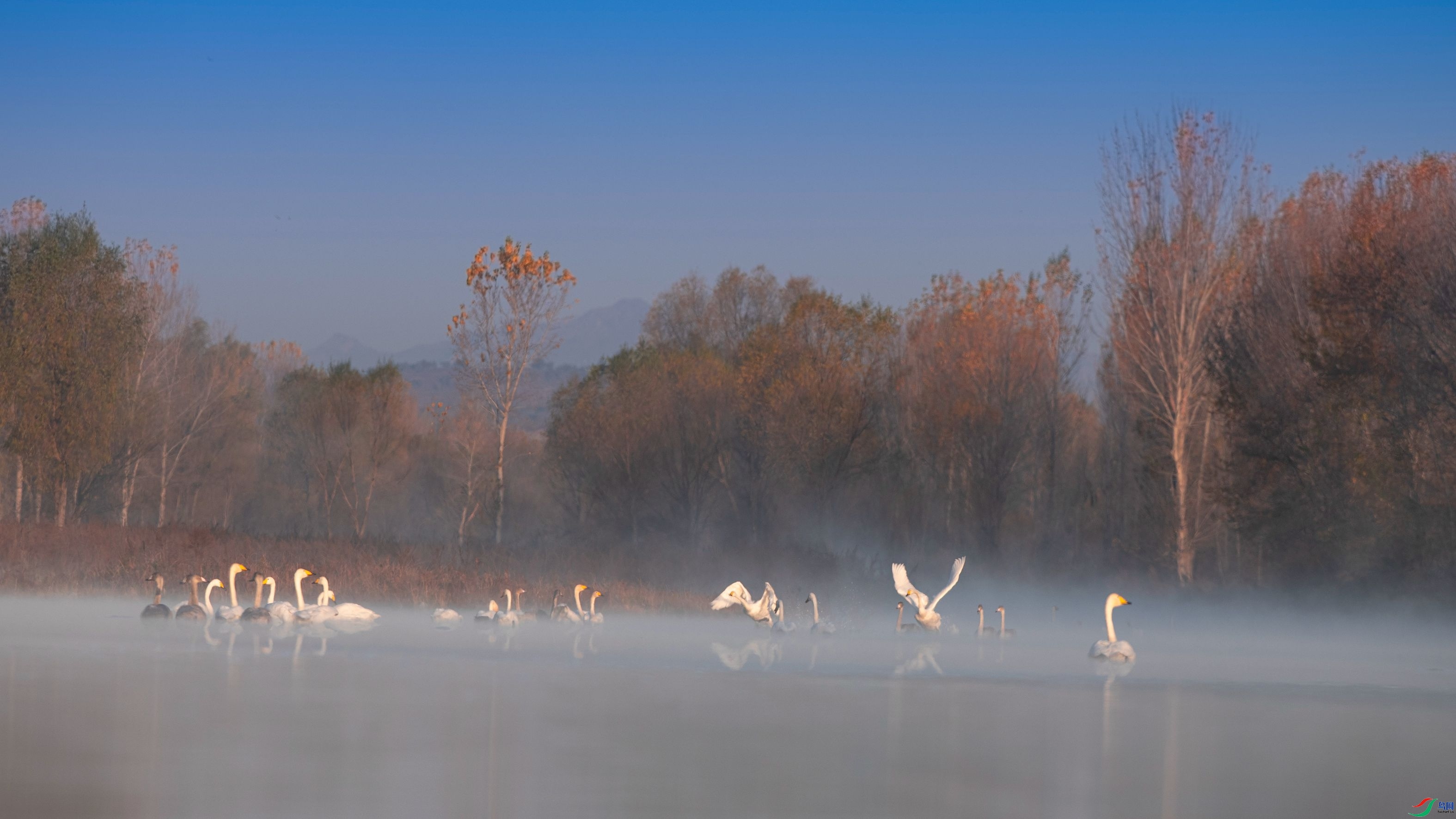 ��ɫ  ���� �����ү  ����.jpg