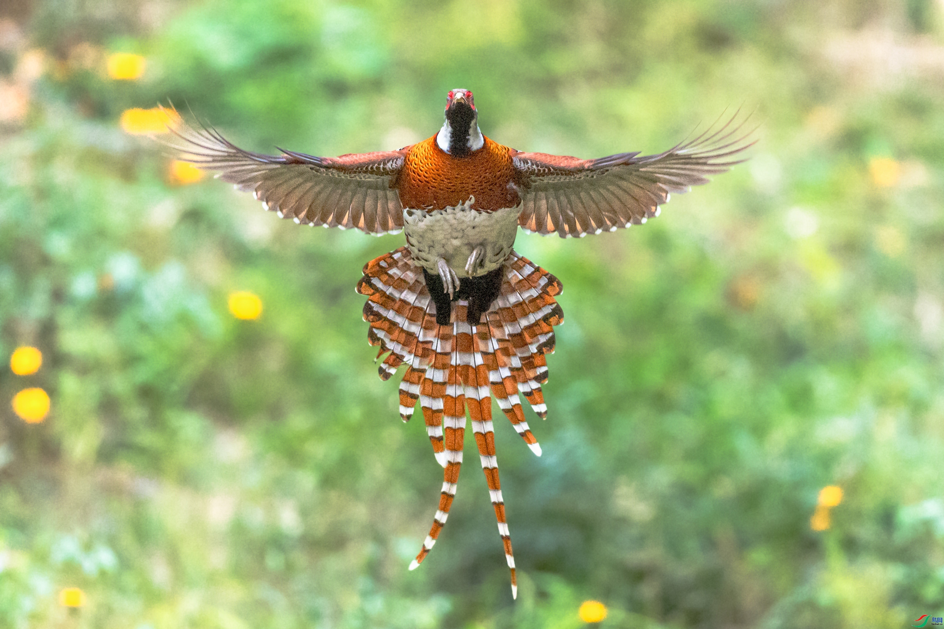 ӵ������  ���� ���  ����.jpg