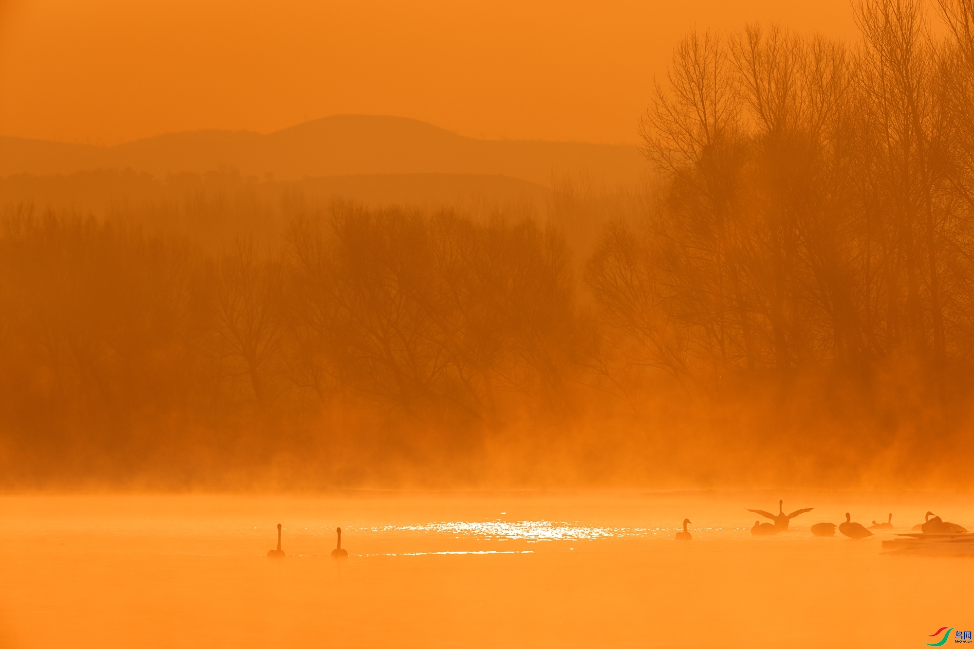 ����  ���� ѧ��  ����.jpg