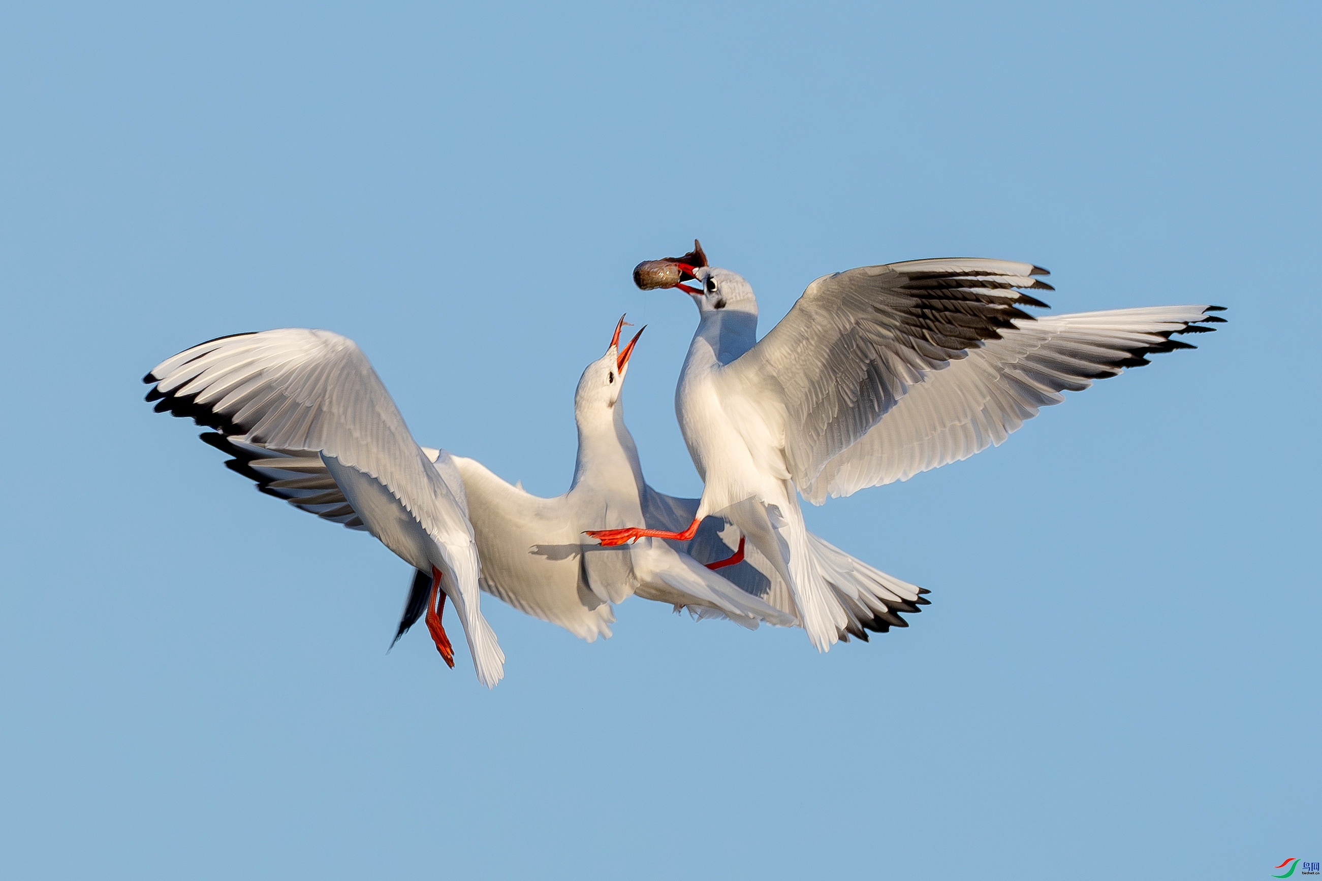 �� ���� ������ ����.jpg