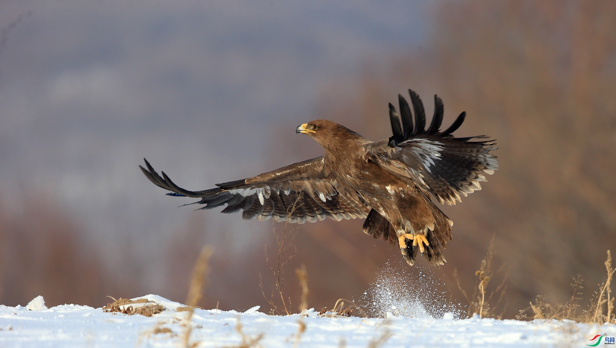 ���� ���� ��ǲ ����.jpg