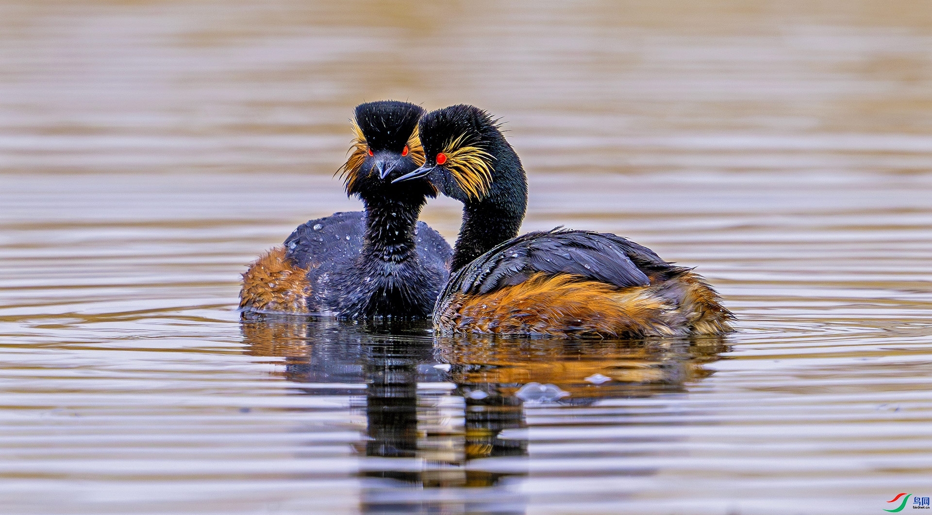 �۲� ���� �ս�  ����.jpg