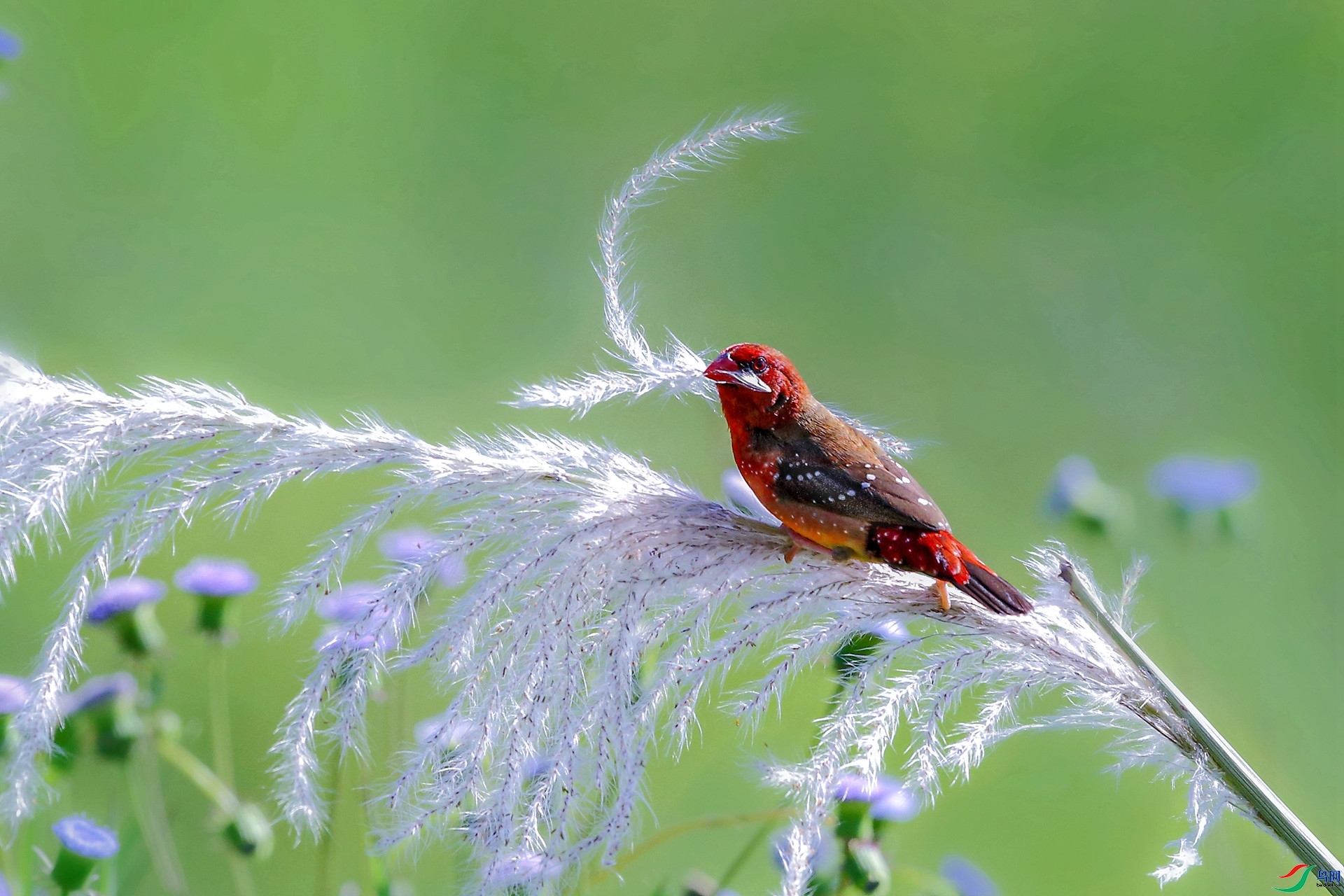 «��Ʈ��-��÷��ȸ ����   ����.jpg