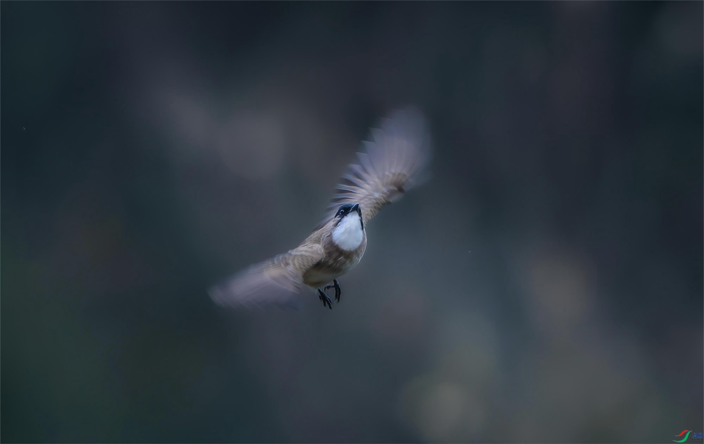 7X5A3667 - ����.JPG