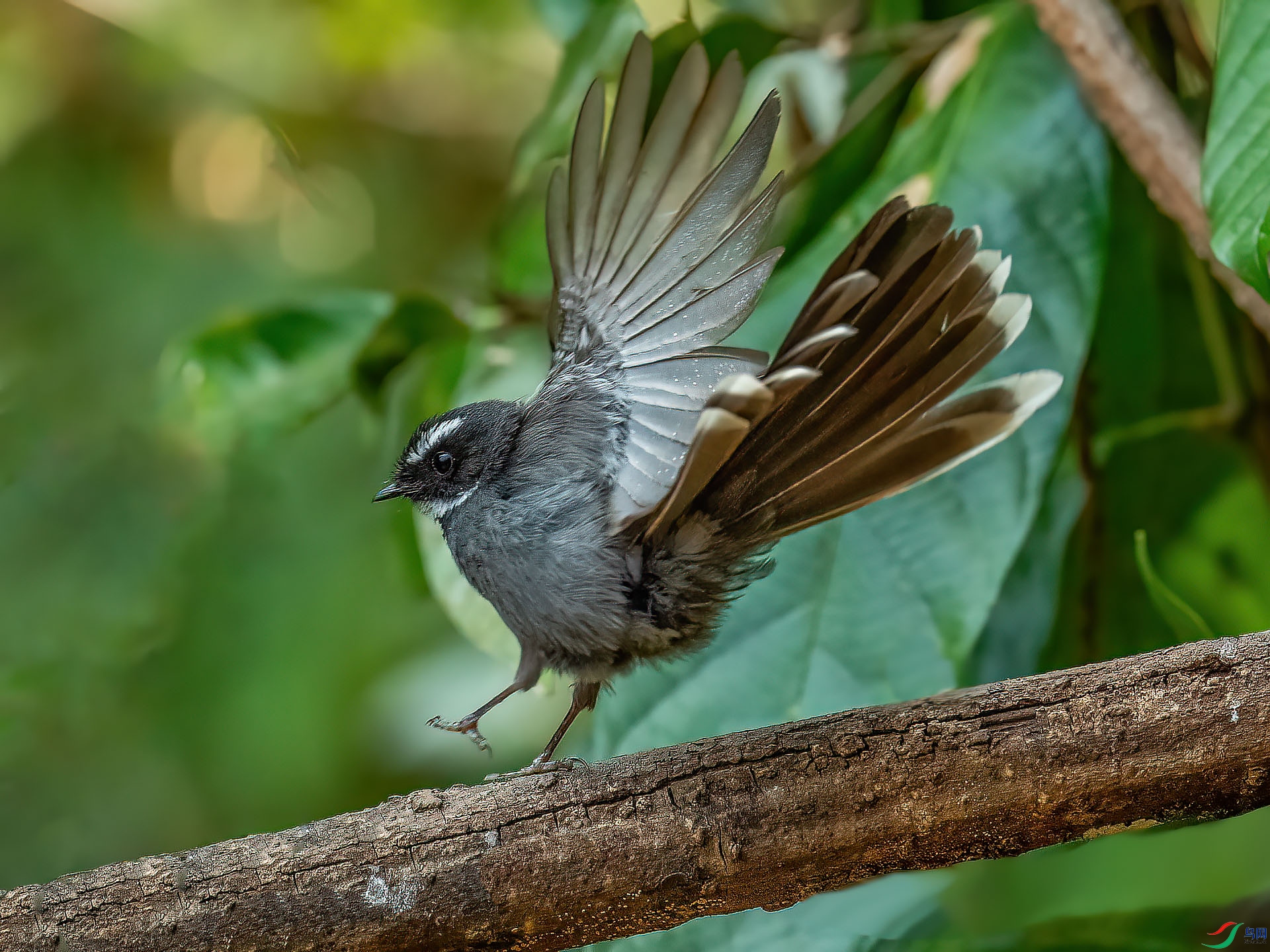 DSC_5527.jpg