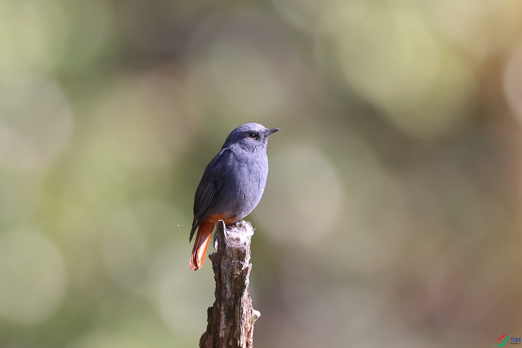 1M6A4022 ����_����.jpg