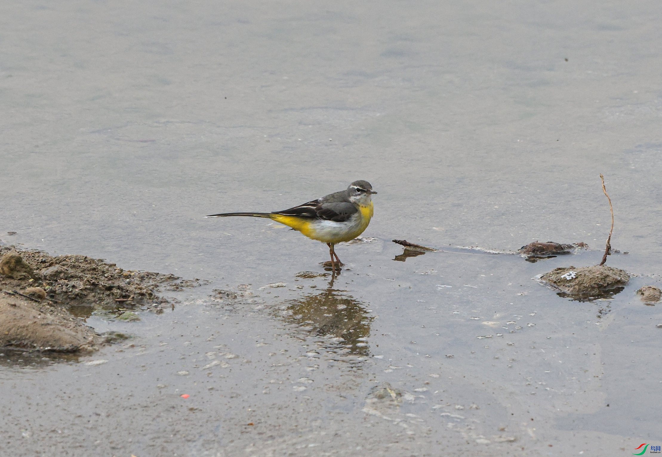 7X5A8669 - ����.JPG