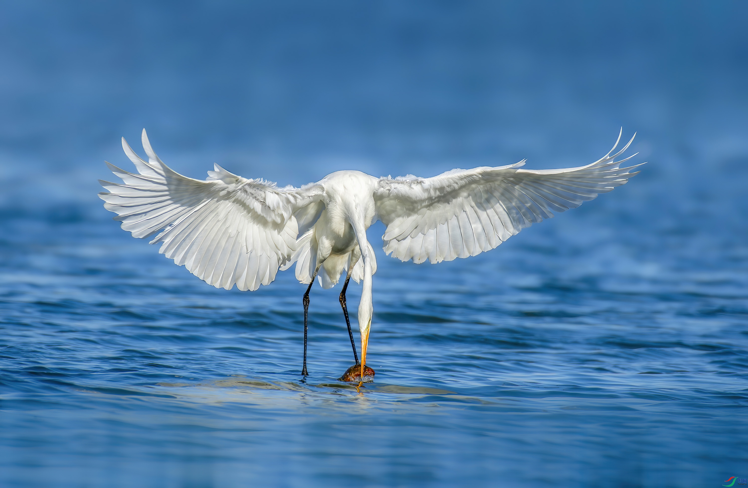 _JLN2836-����ǿ-NR ����OK.jpg