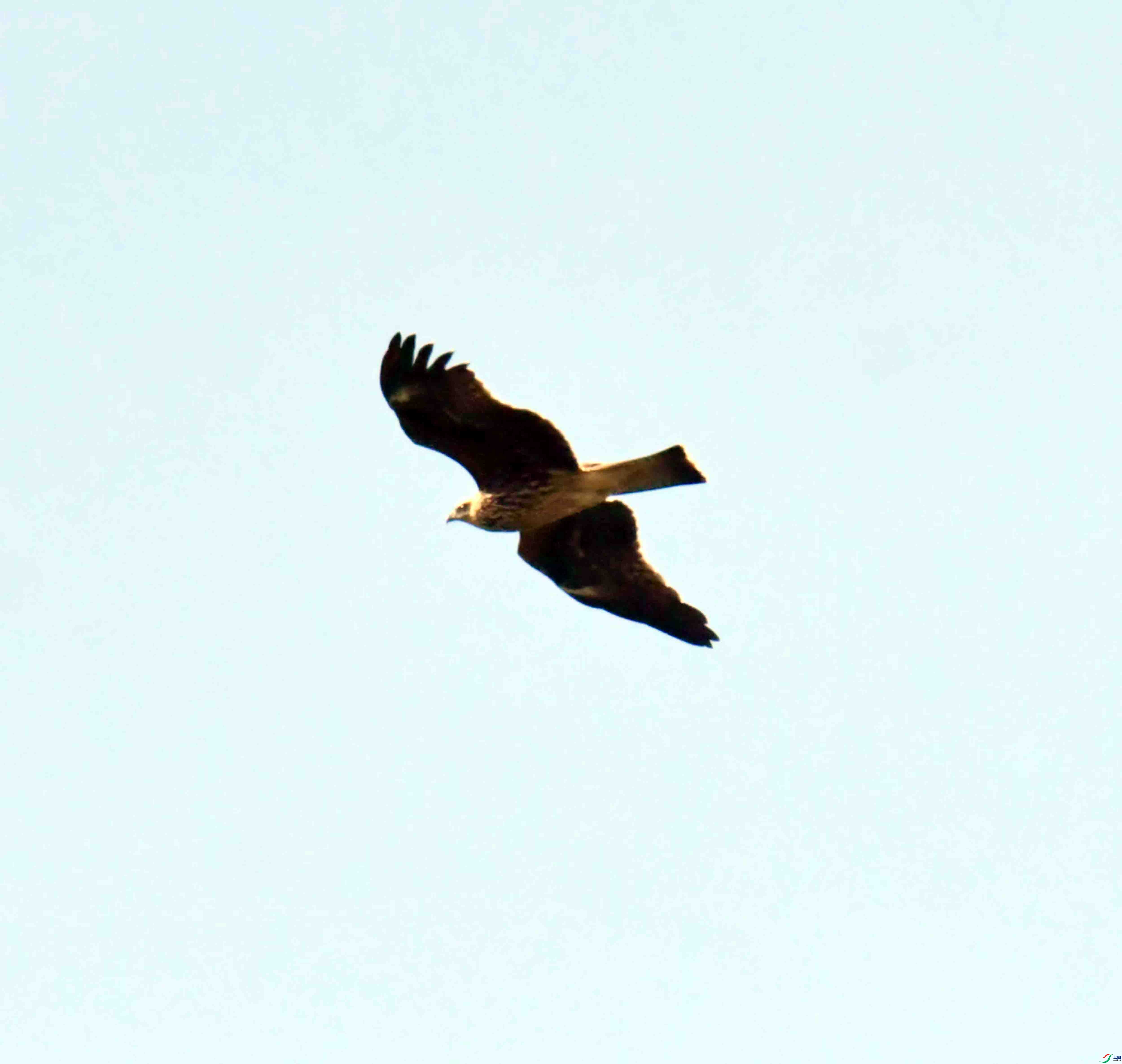DSC_0490.JPG