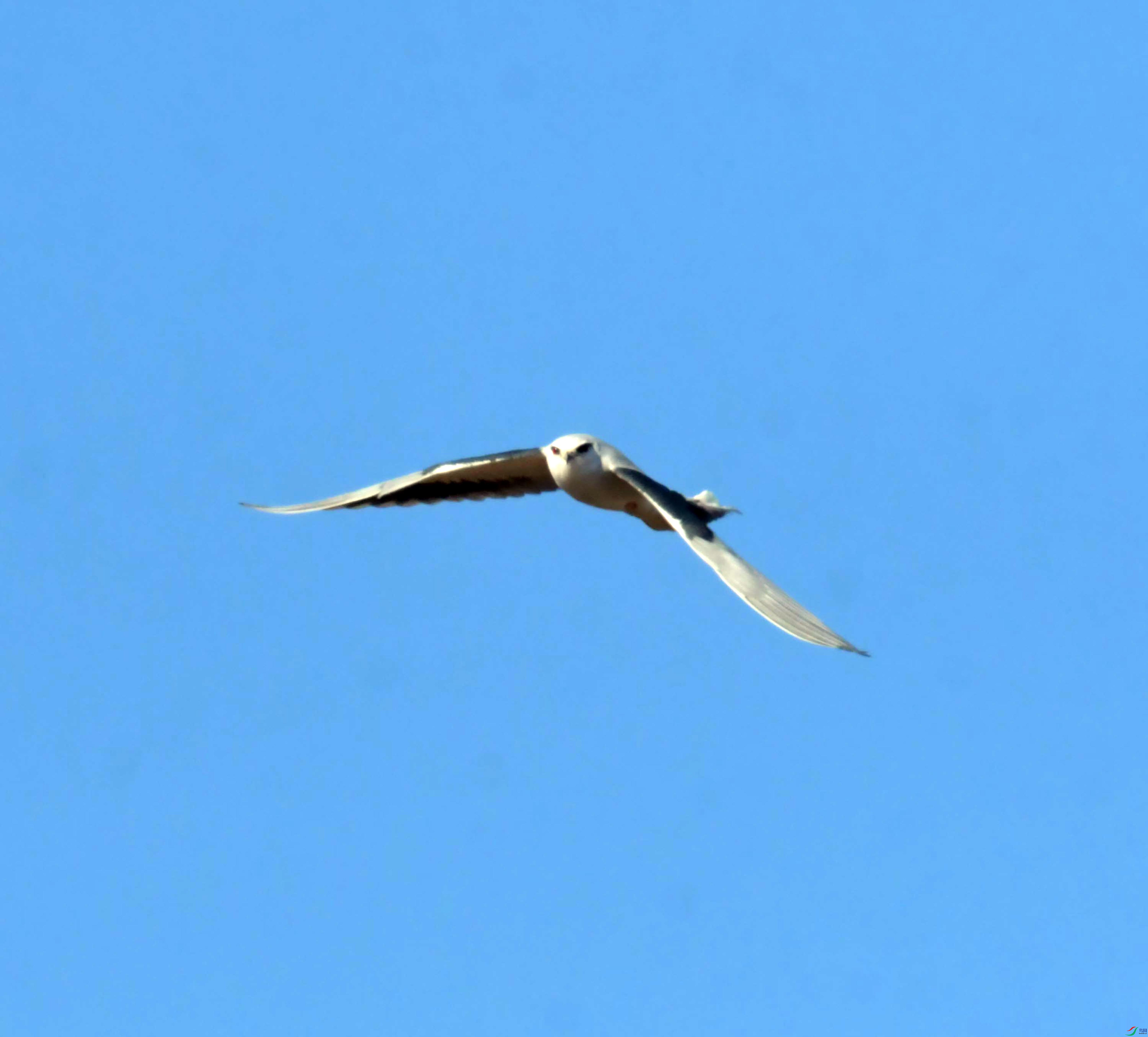 DSC_0970.JPG