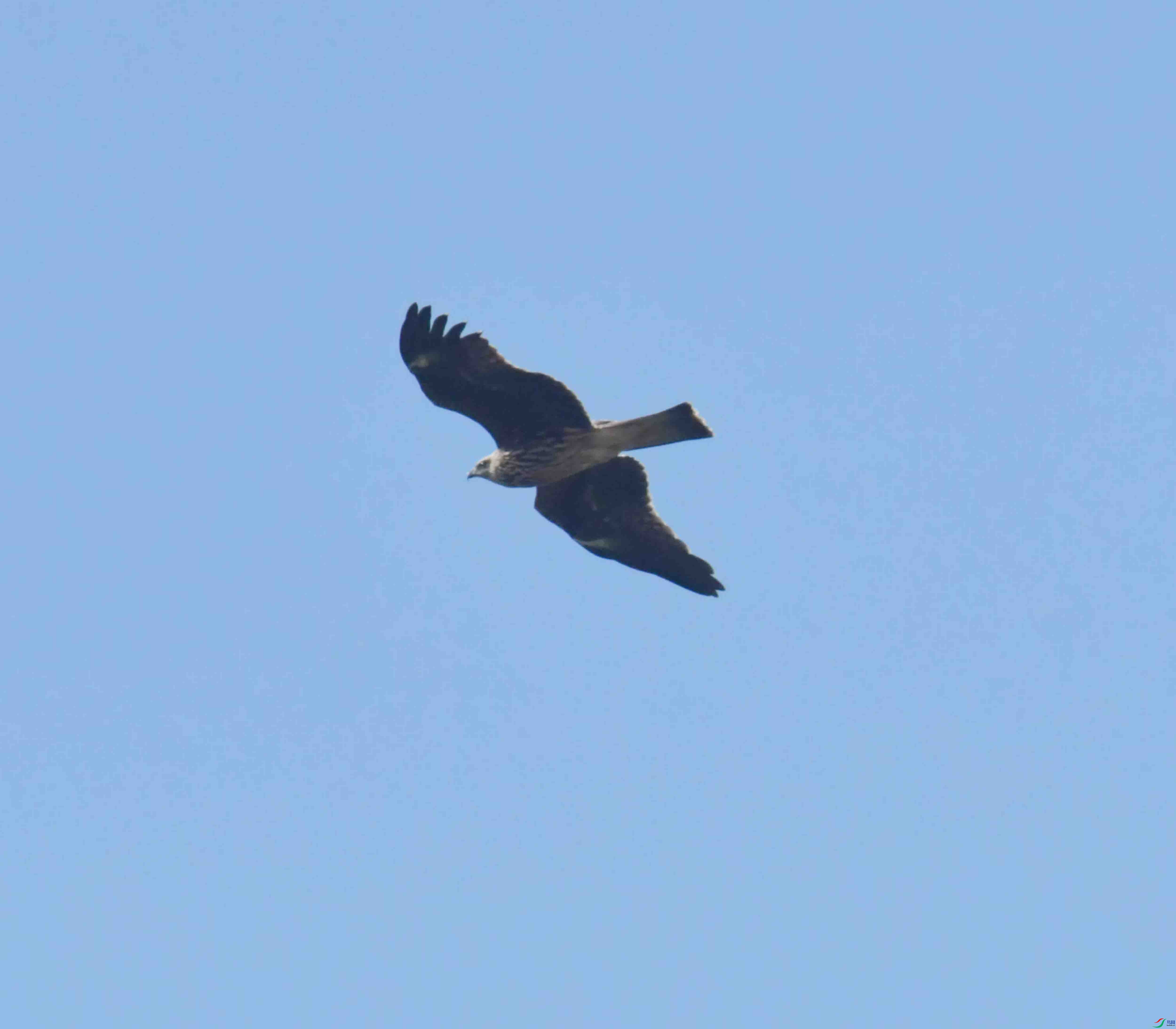 DSC_0491.JPG