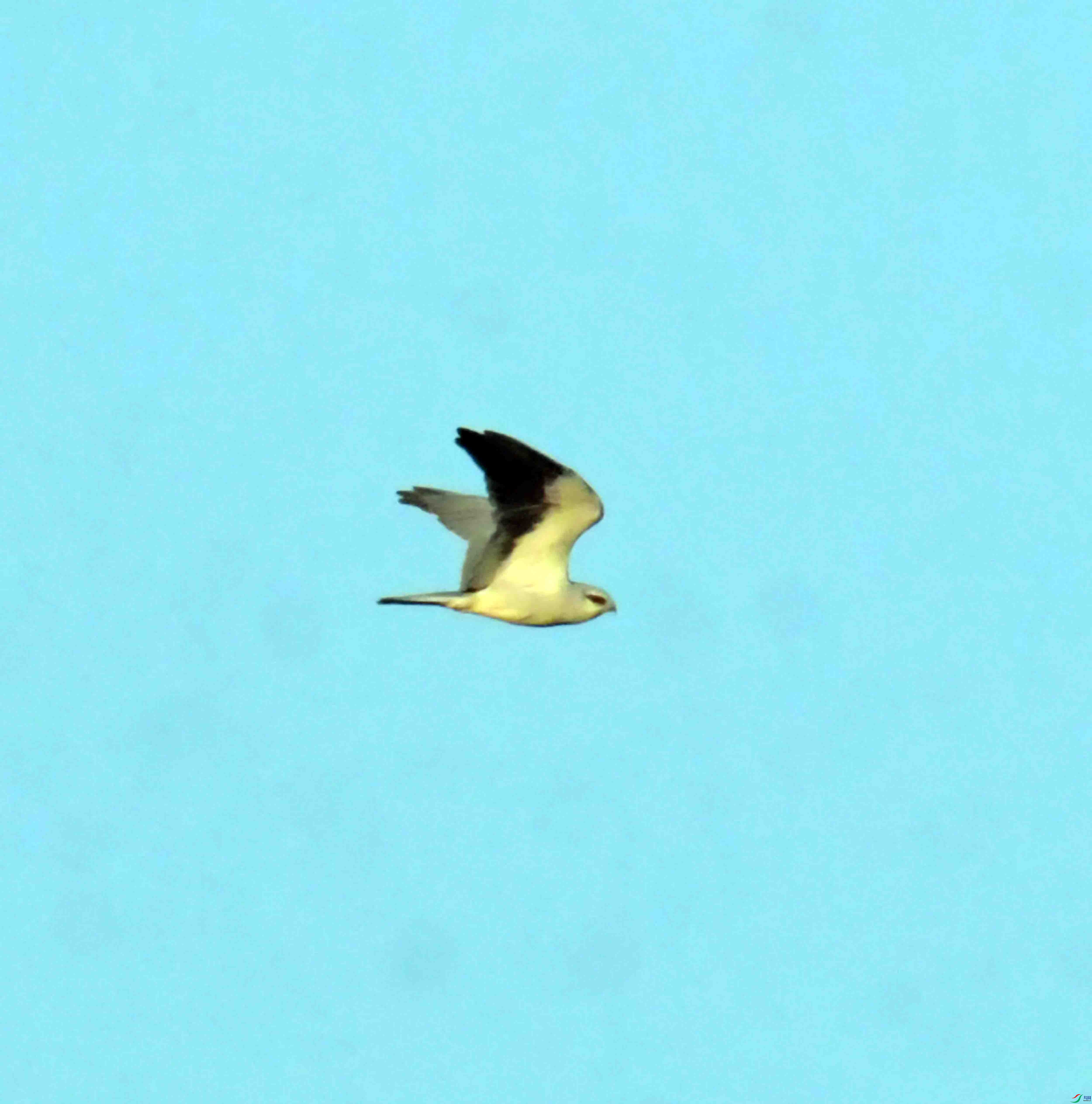 DSC_8998.JPG