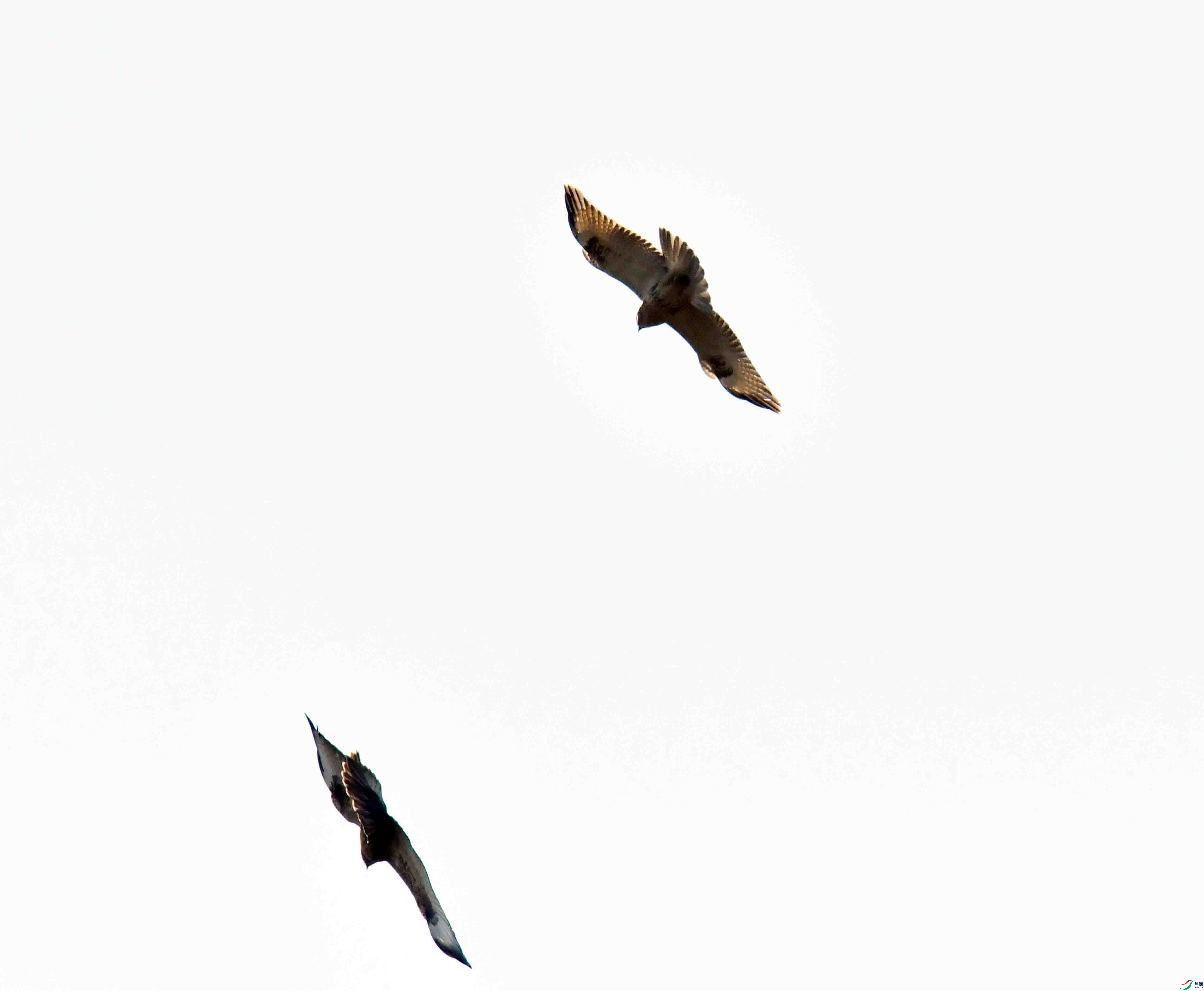 DSC_0109.JPG