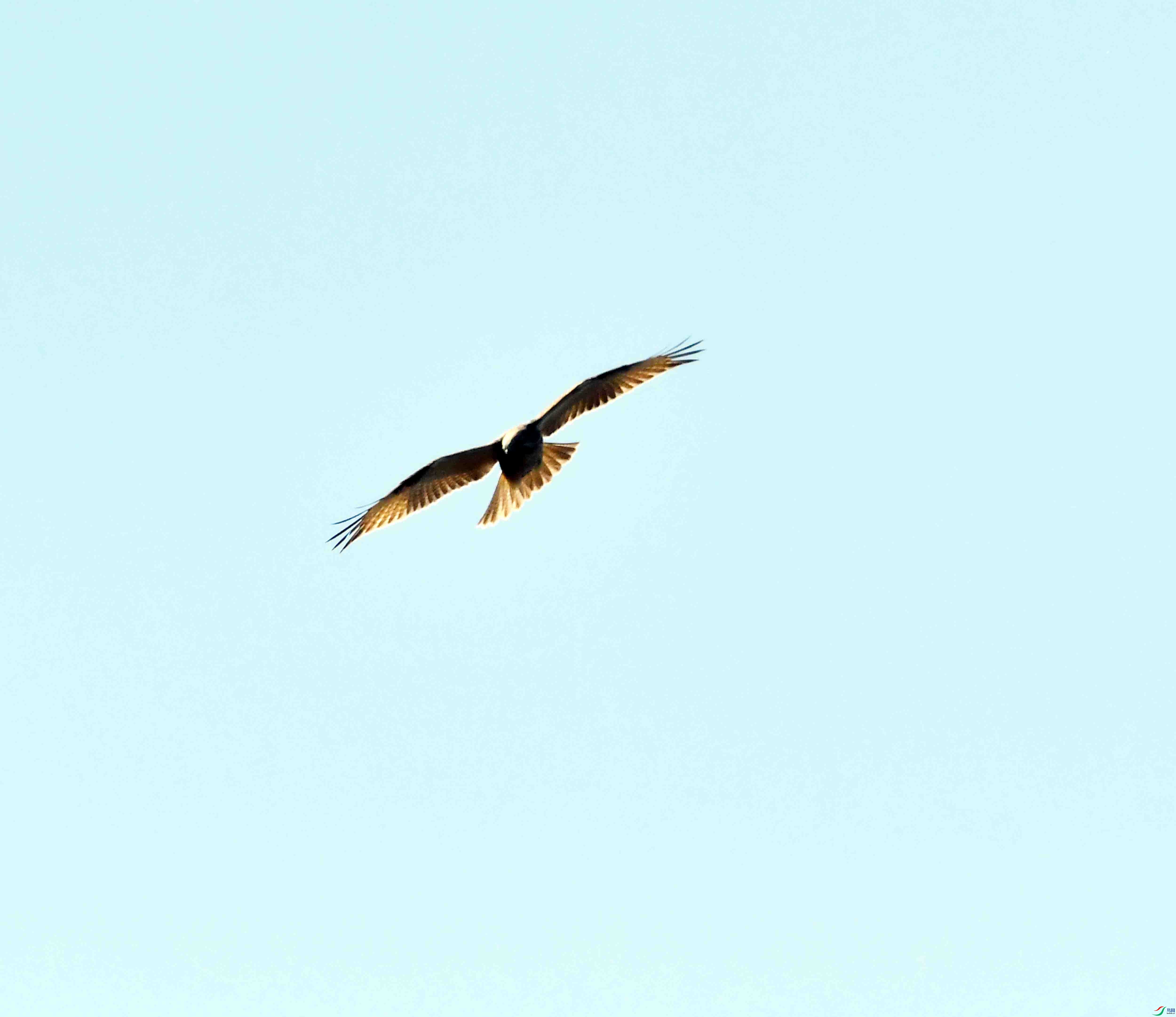 DSC_0108.JPG