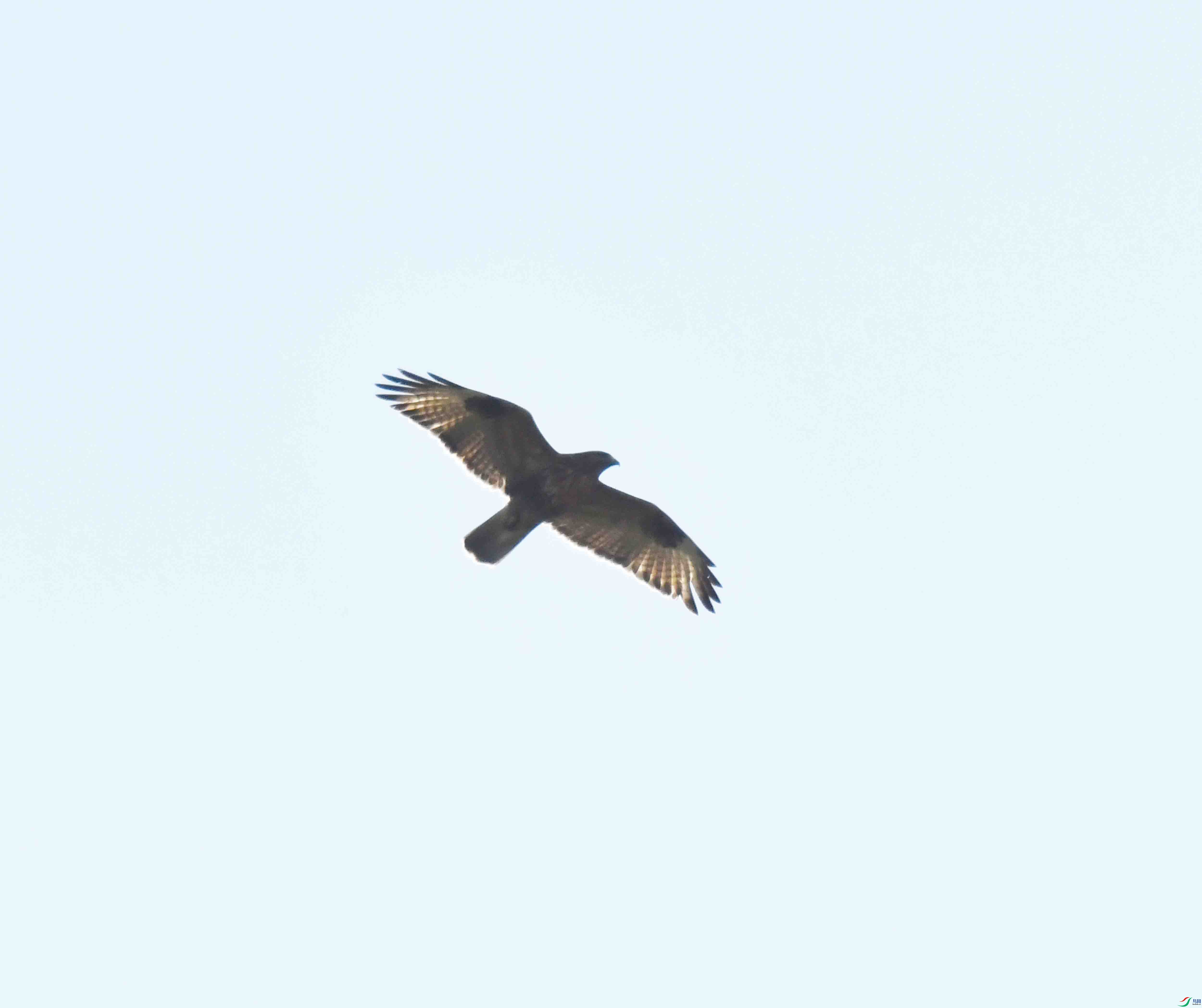 DSC_0124.JPG