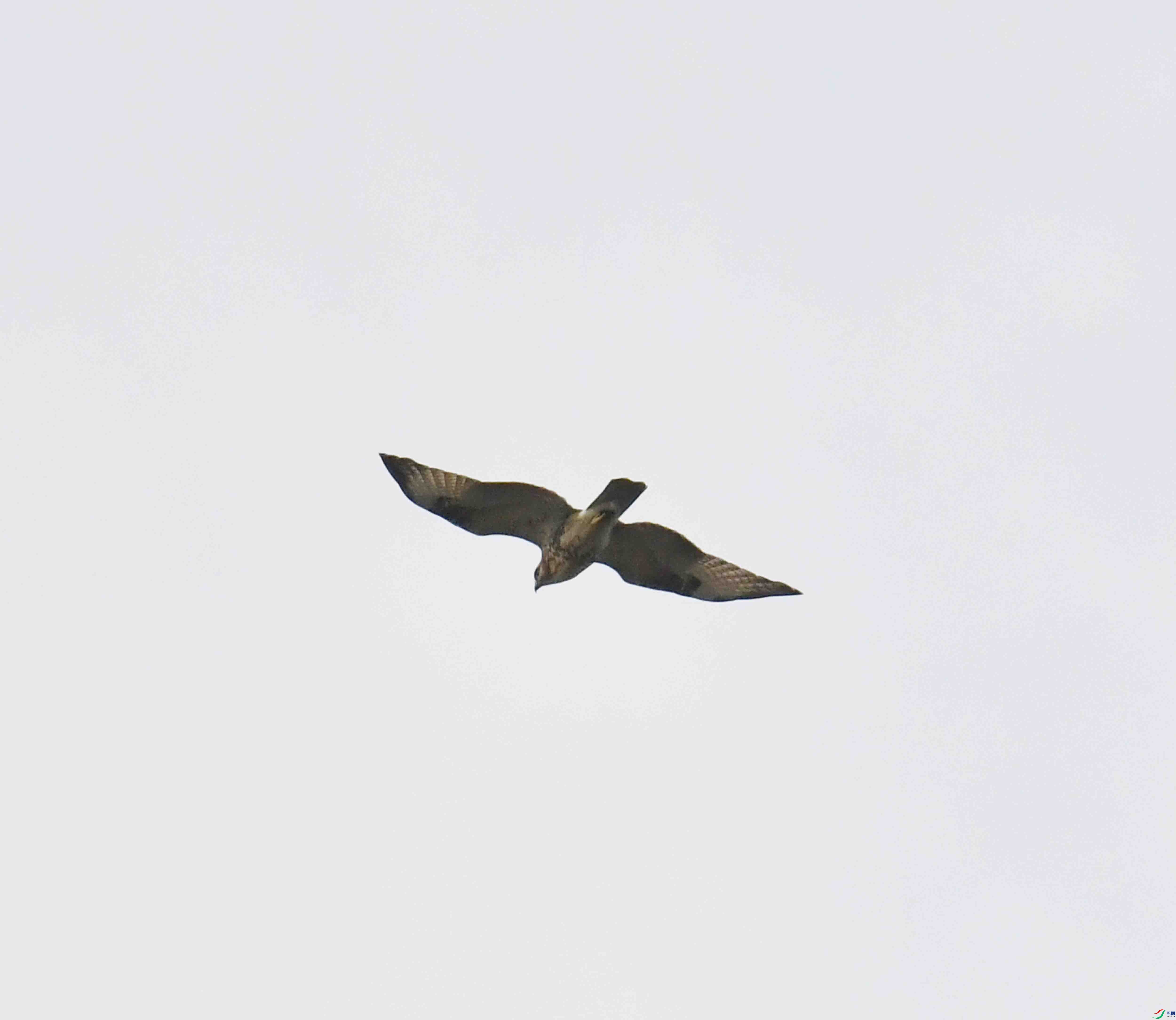 DSC_8014.JPG