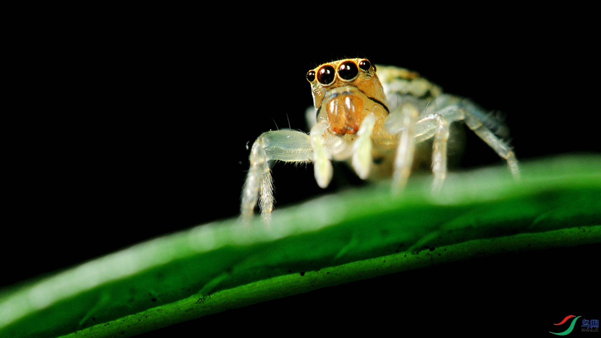 ͼƬ35 ��հԶ��NW.jpg