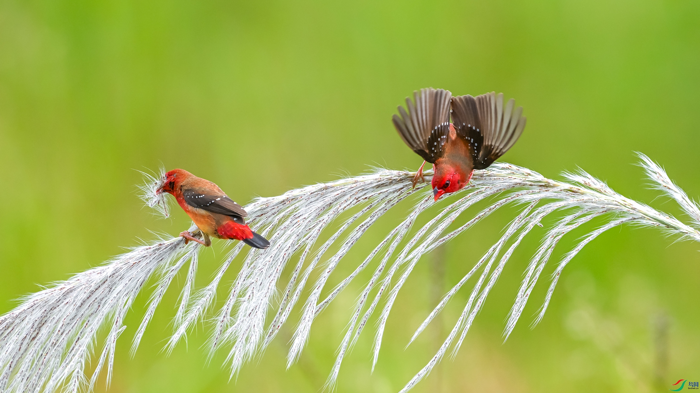 4878 ����.jpg