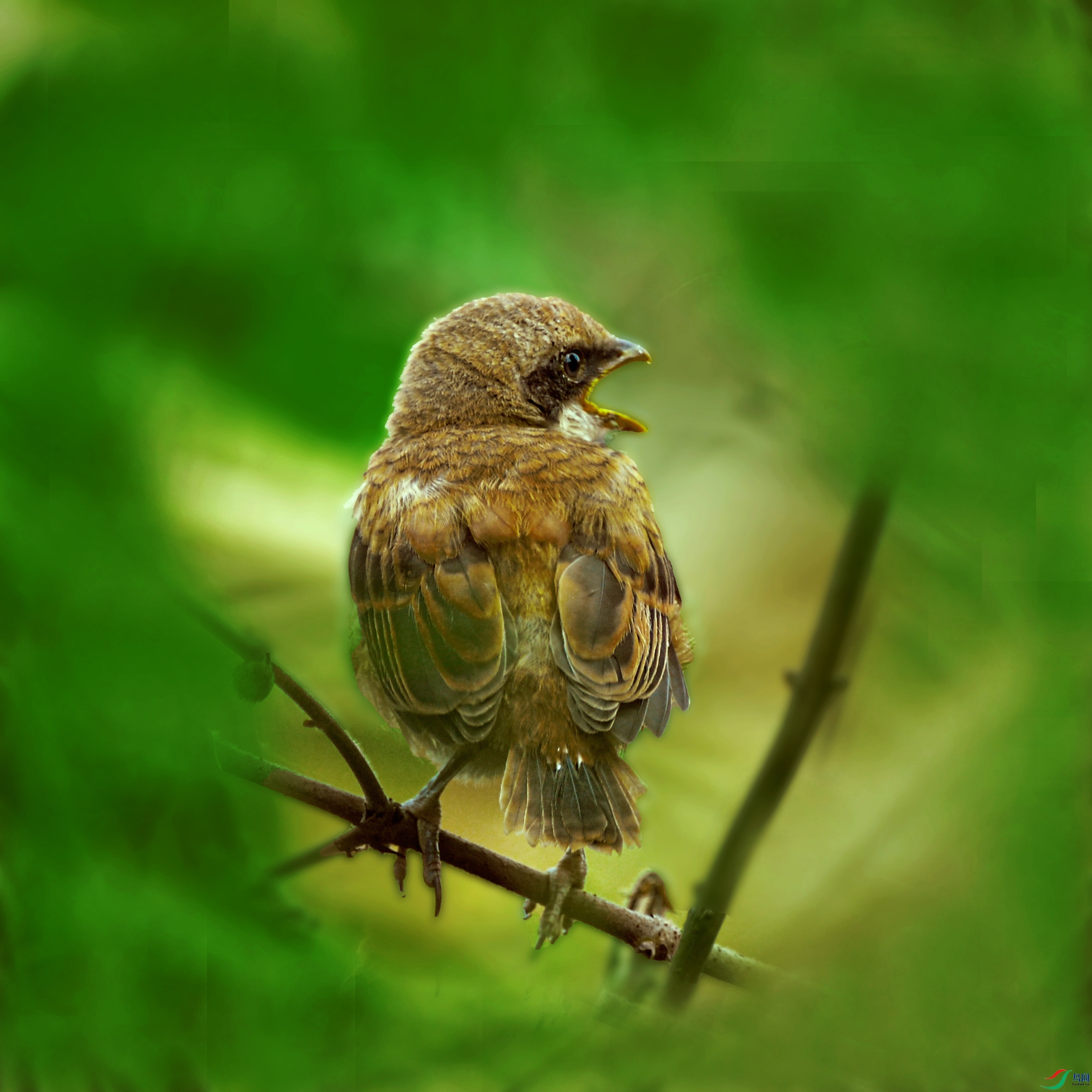 DSC_3557.jpg
