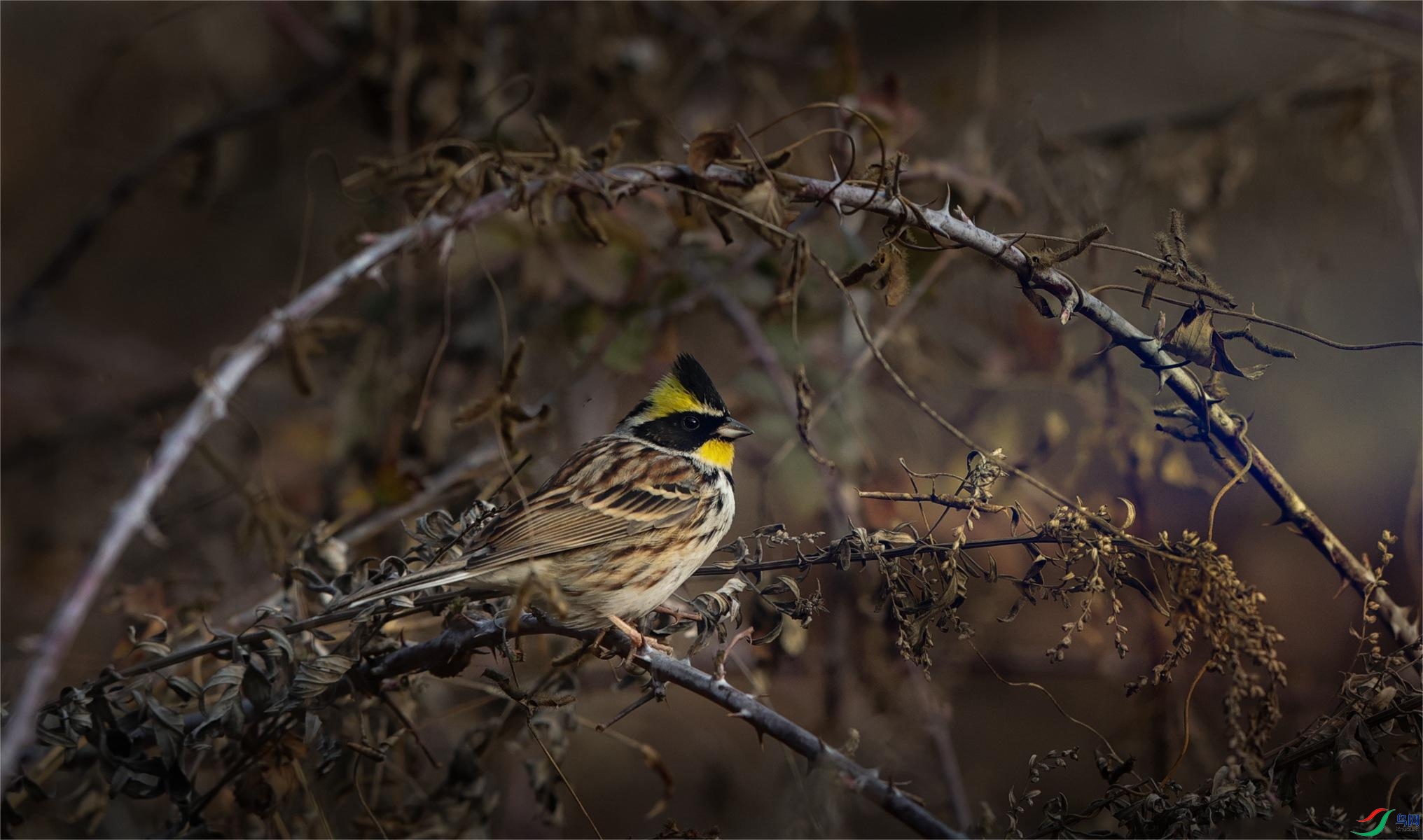 7X5A5650 - ����.JPG