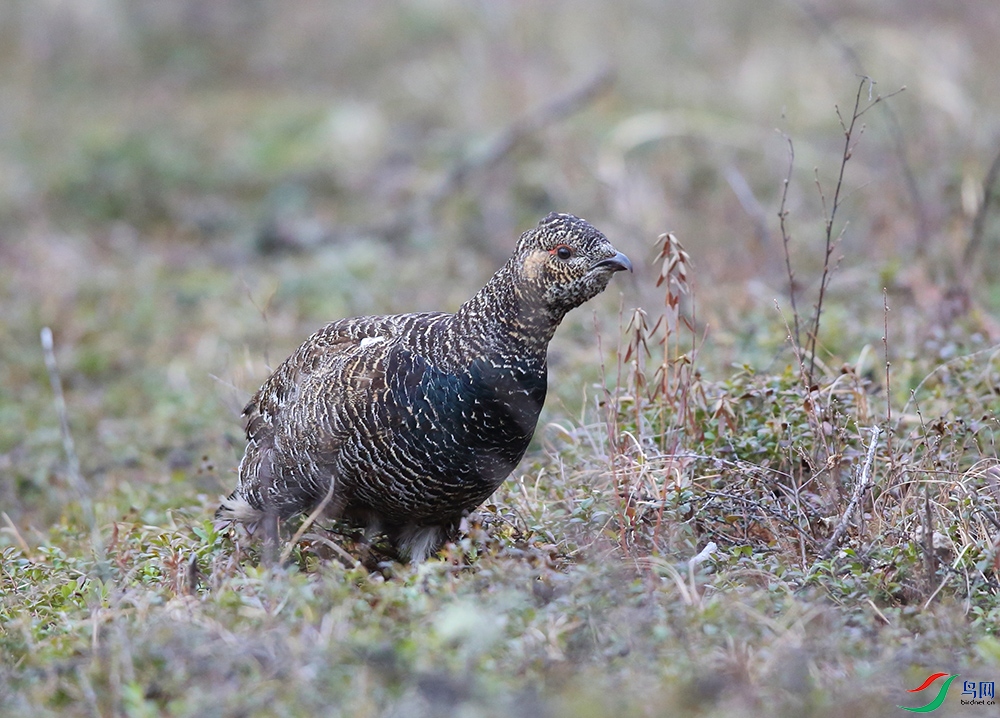 �����ɼ� (4).JPG