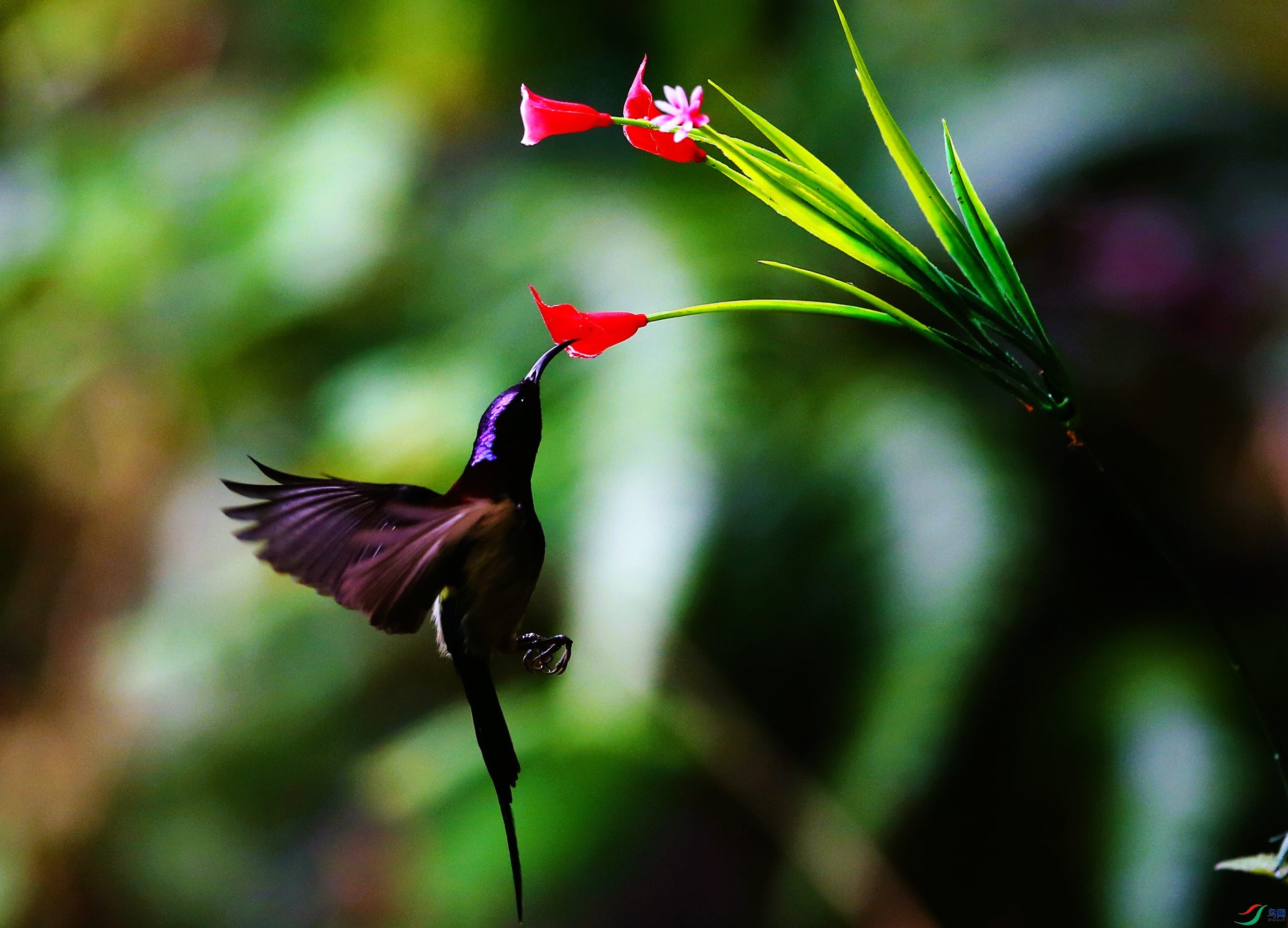 ����̫���� (45).JPG