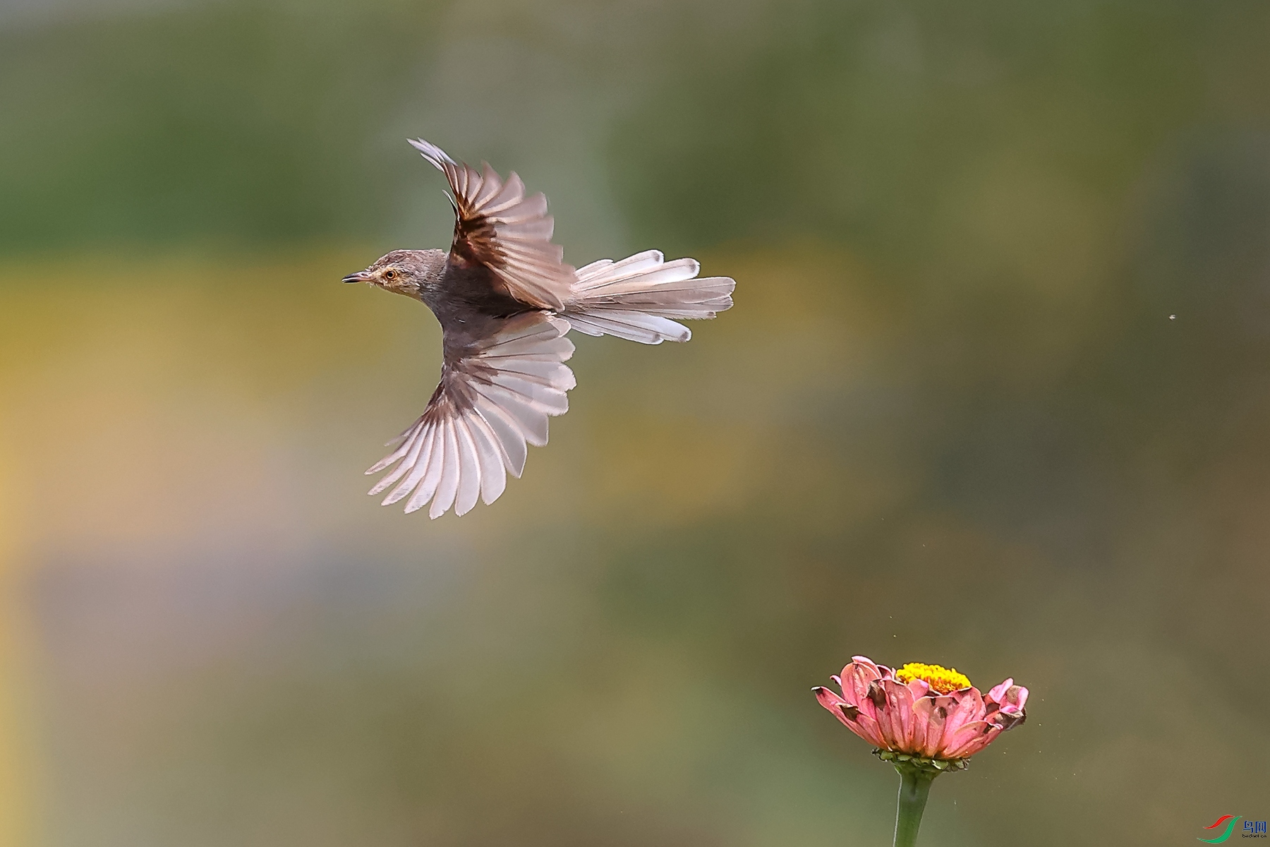 0E2A7092_����.jpg